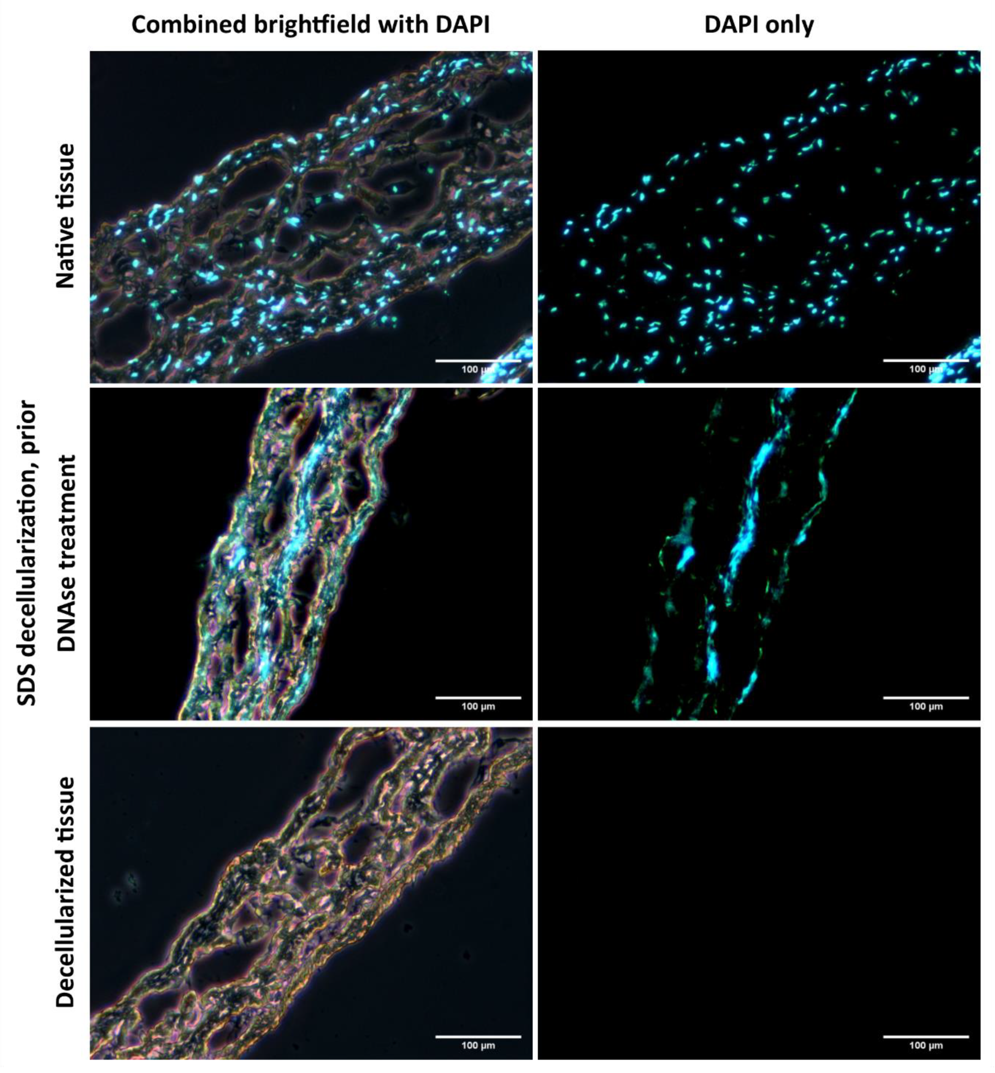 Applsci 10 05473 g006