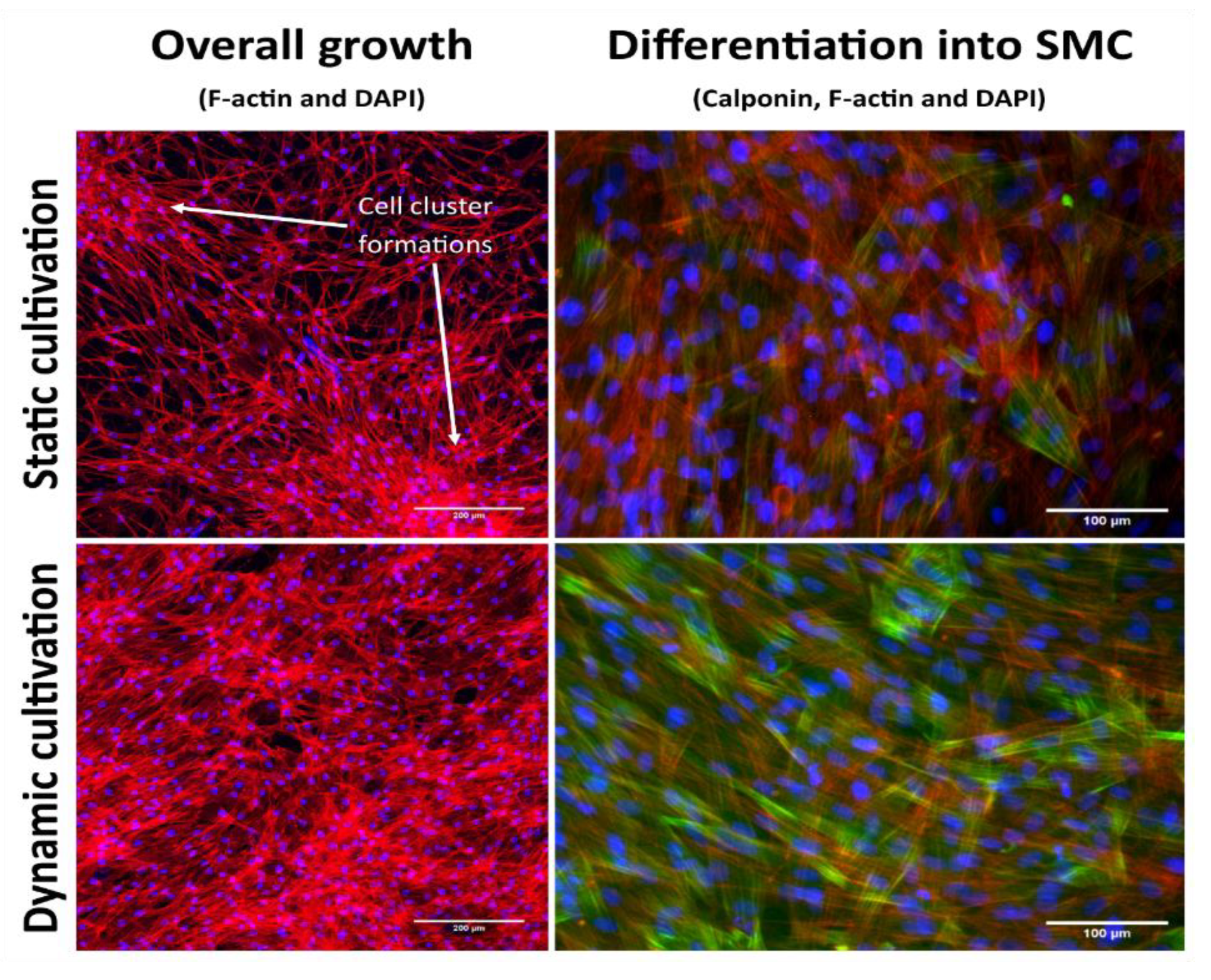 Applsci 10 05473 g009