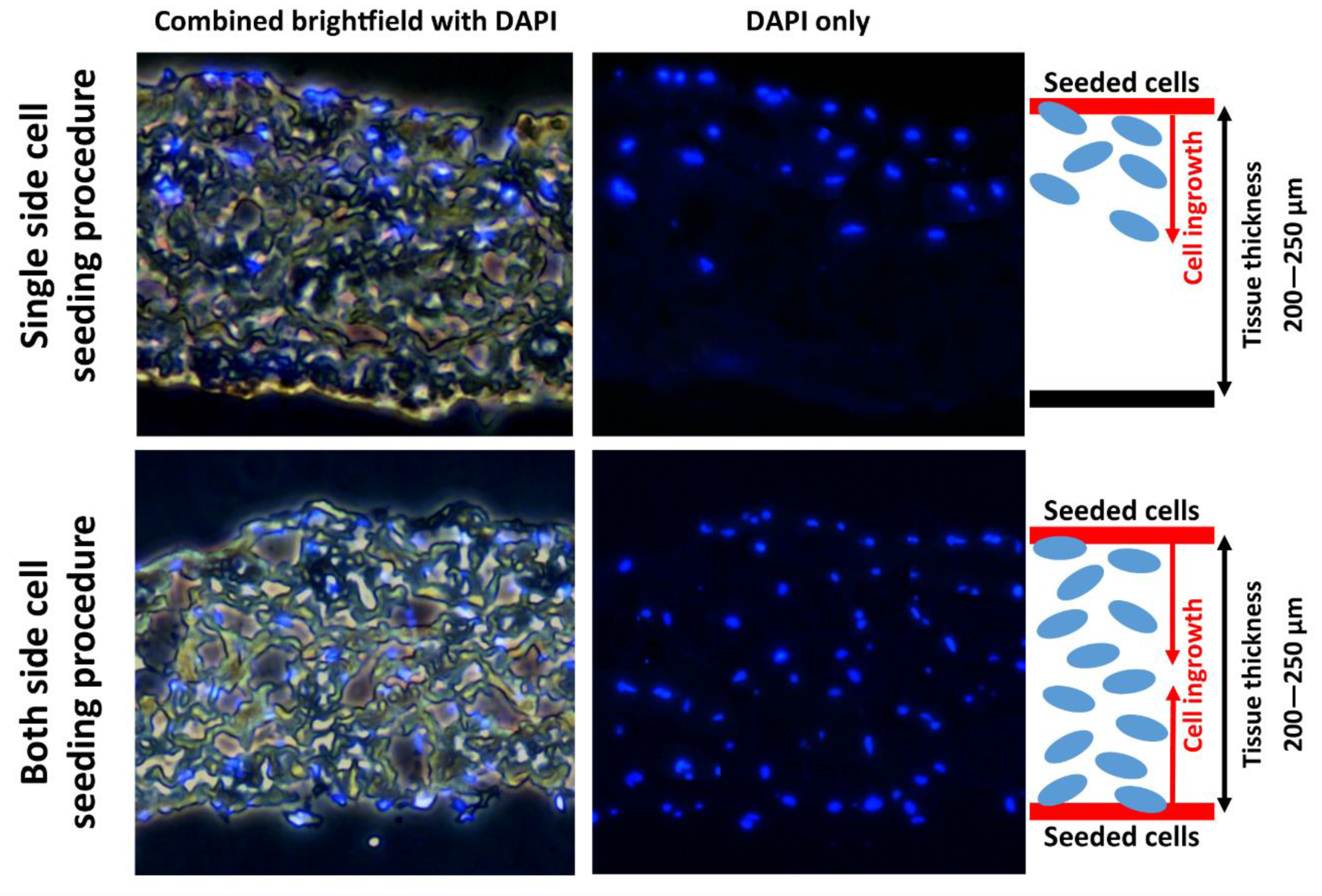 Applsci 10 05473 g010