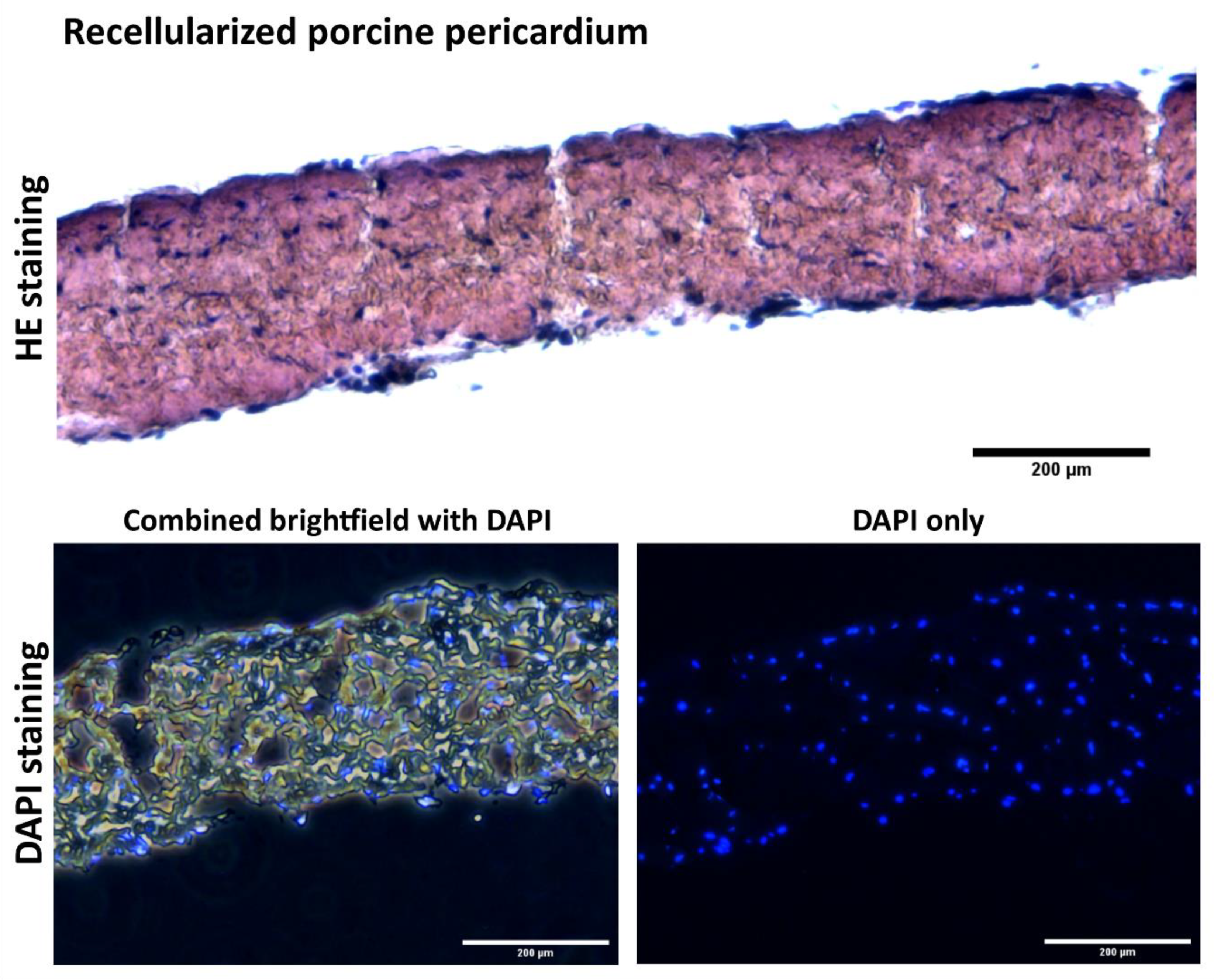 Applsci 10 05473 g011