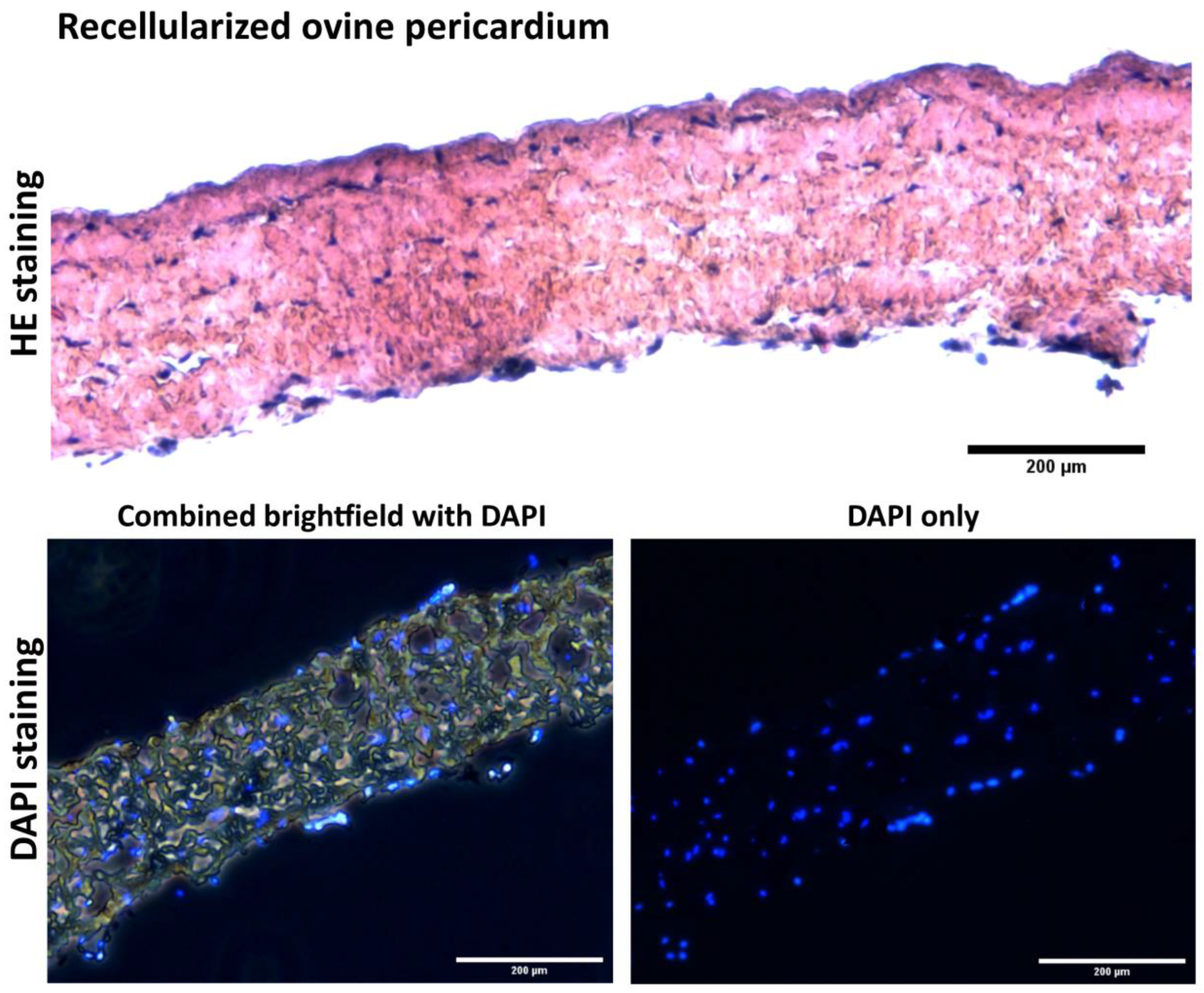 Applsci 10 05473 g012