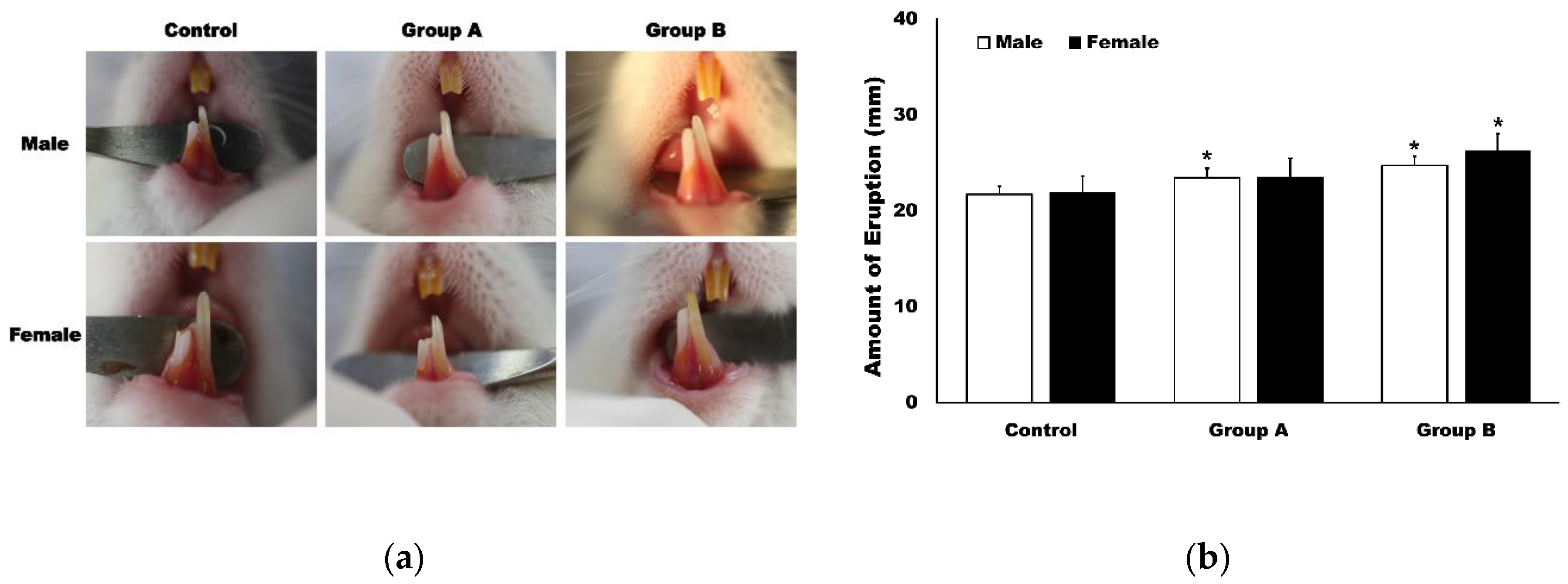 Applsci 10 05511 g002 Applsci 10 05511 g002