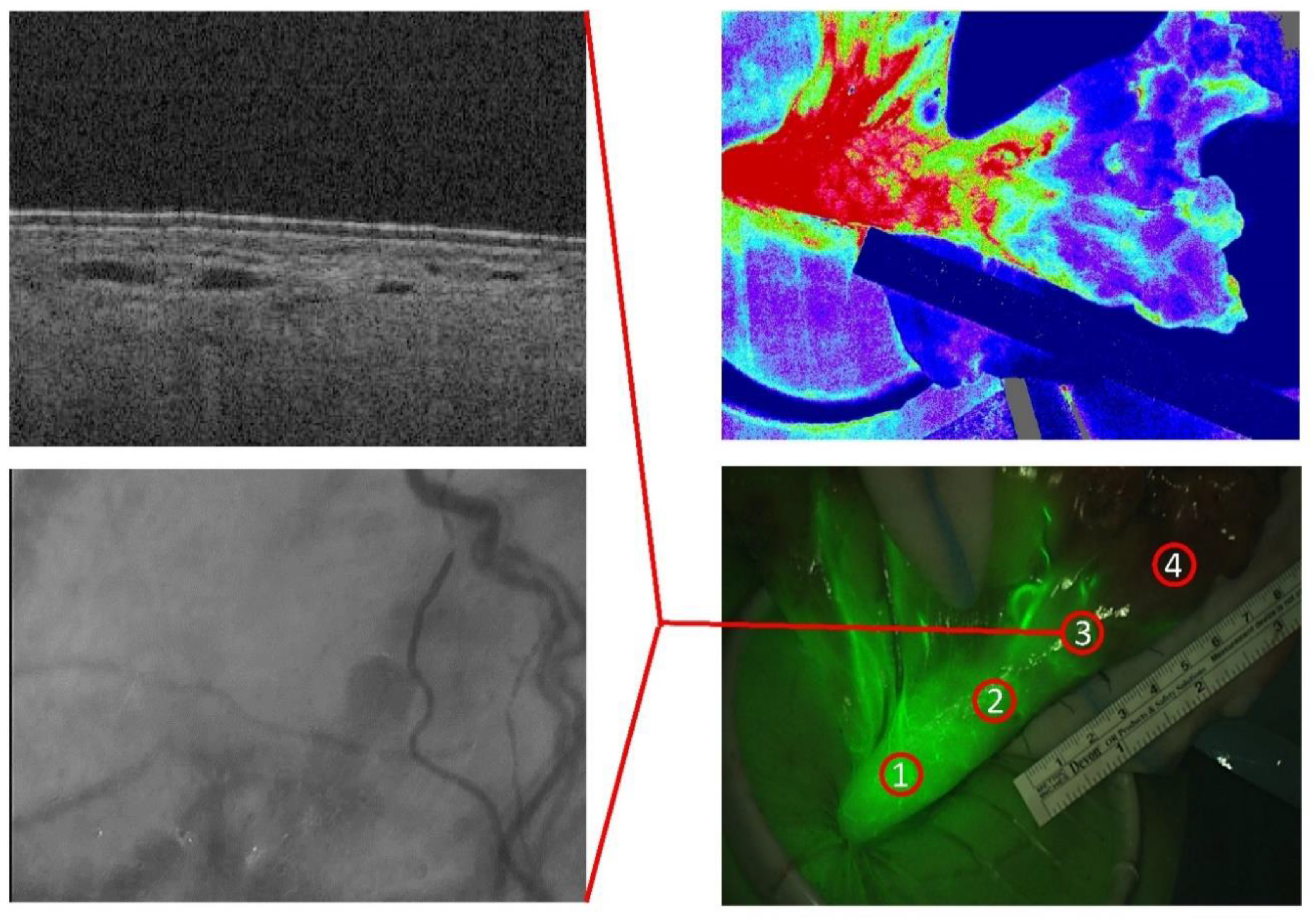 Applsci 10 05522 g001