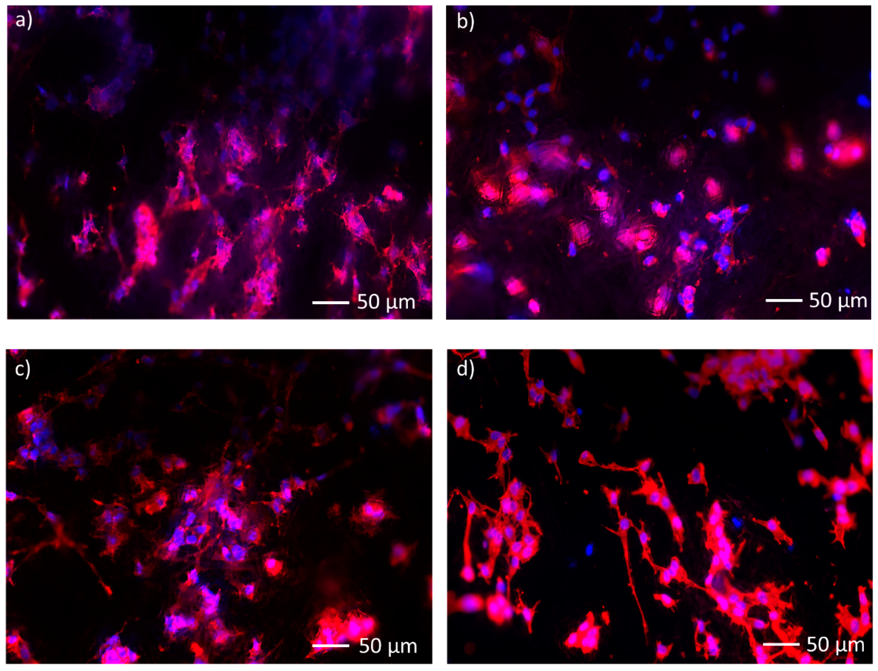 Applsci 10 05530 g008 Applsci 10 05530 g008