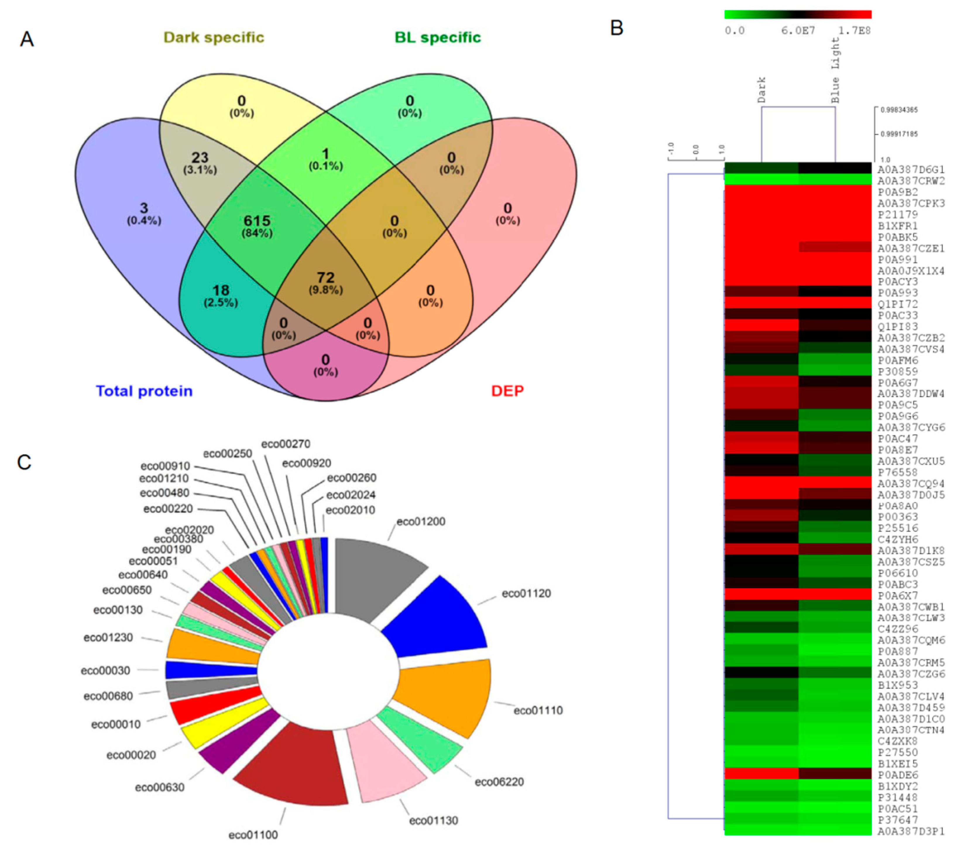 Applsci 10 05535 g002 Applsci 10 05535 g002