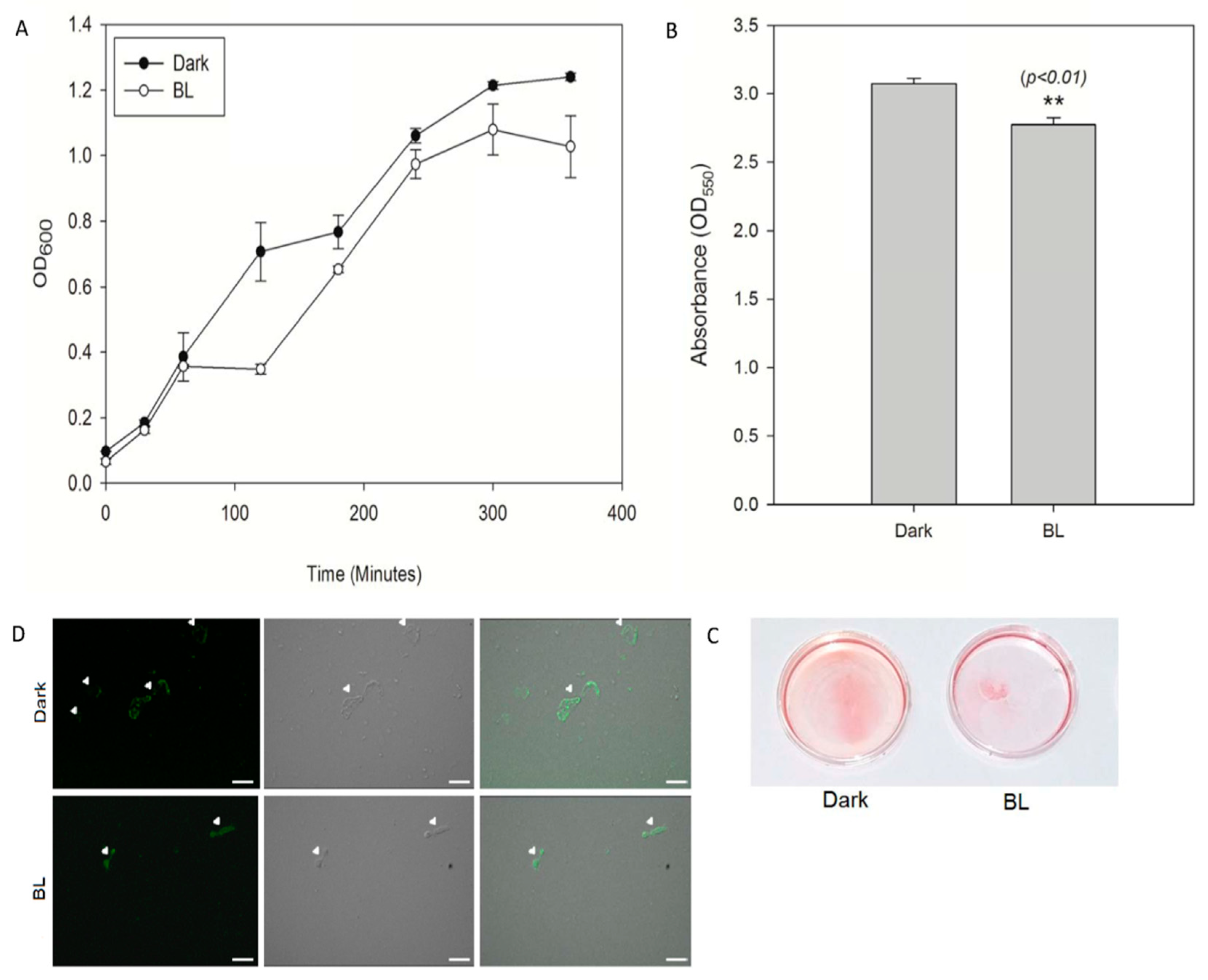 Applsci 10 05535 g003 Applsci 10 05535 g003