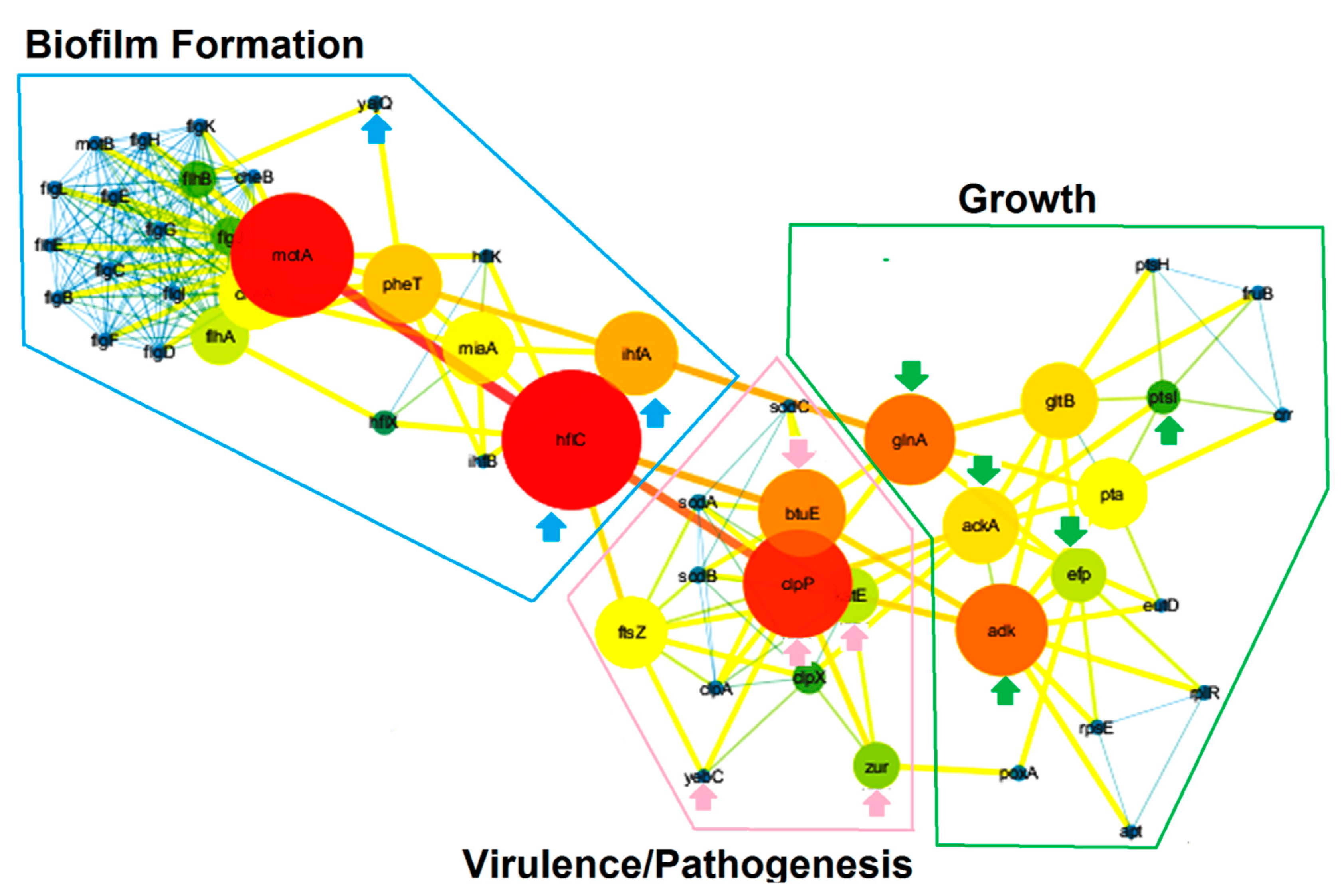 Applsci 10 05535 g004 Applsci 10 05535 g004