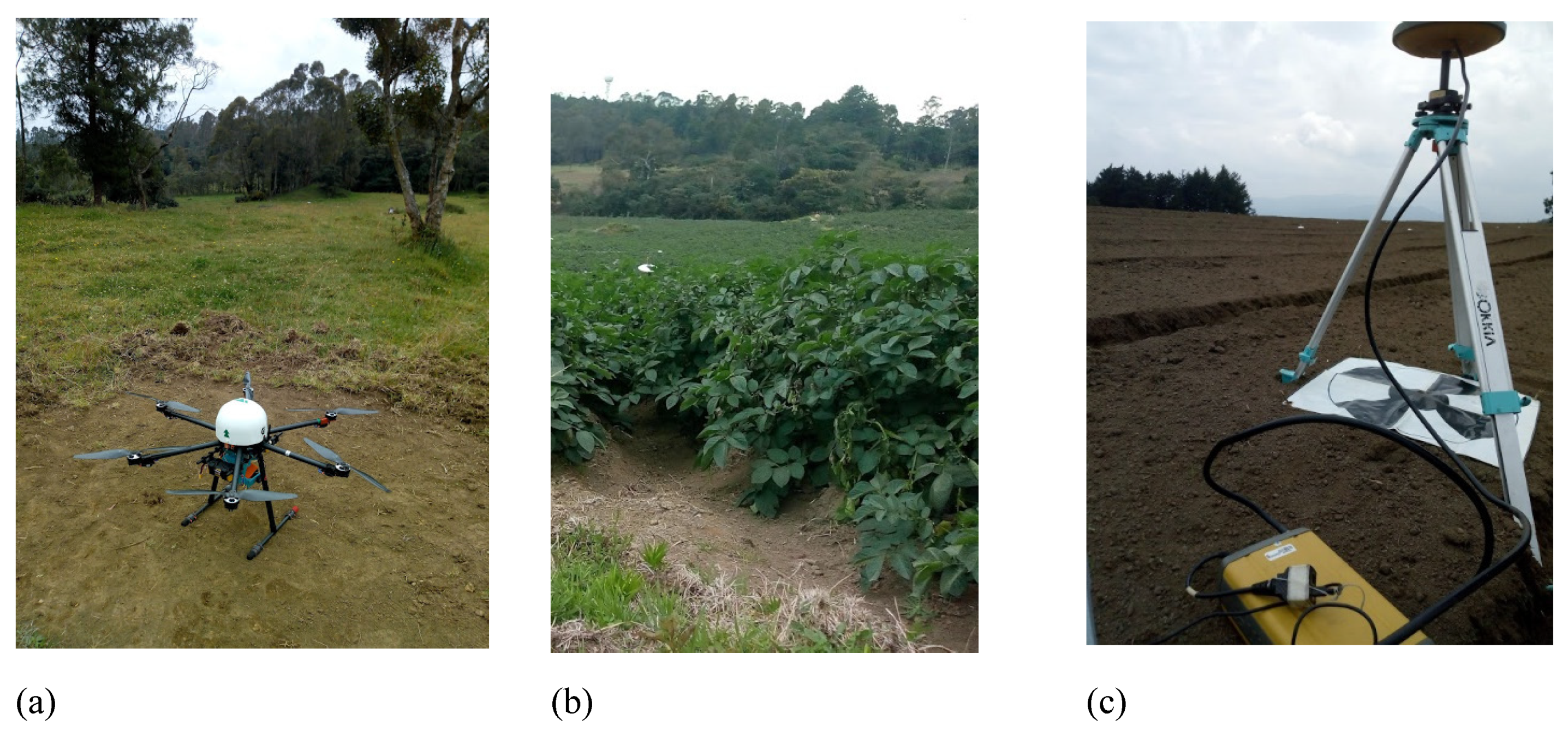 Applsci 10 05540 g003 Applsci 10 05540 g003