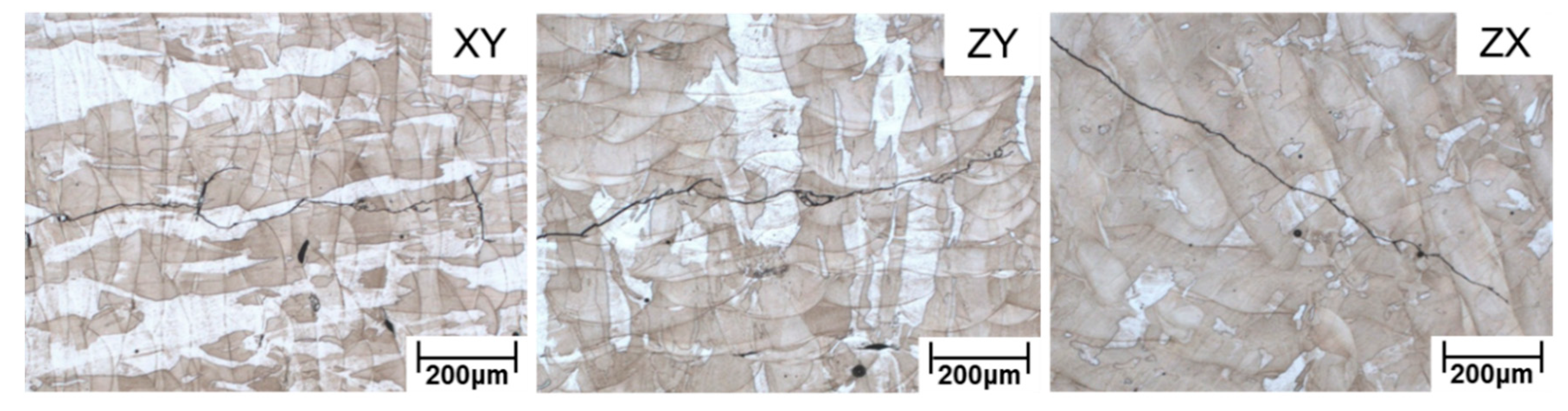 Applsci 10 05556 g010