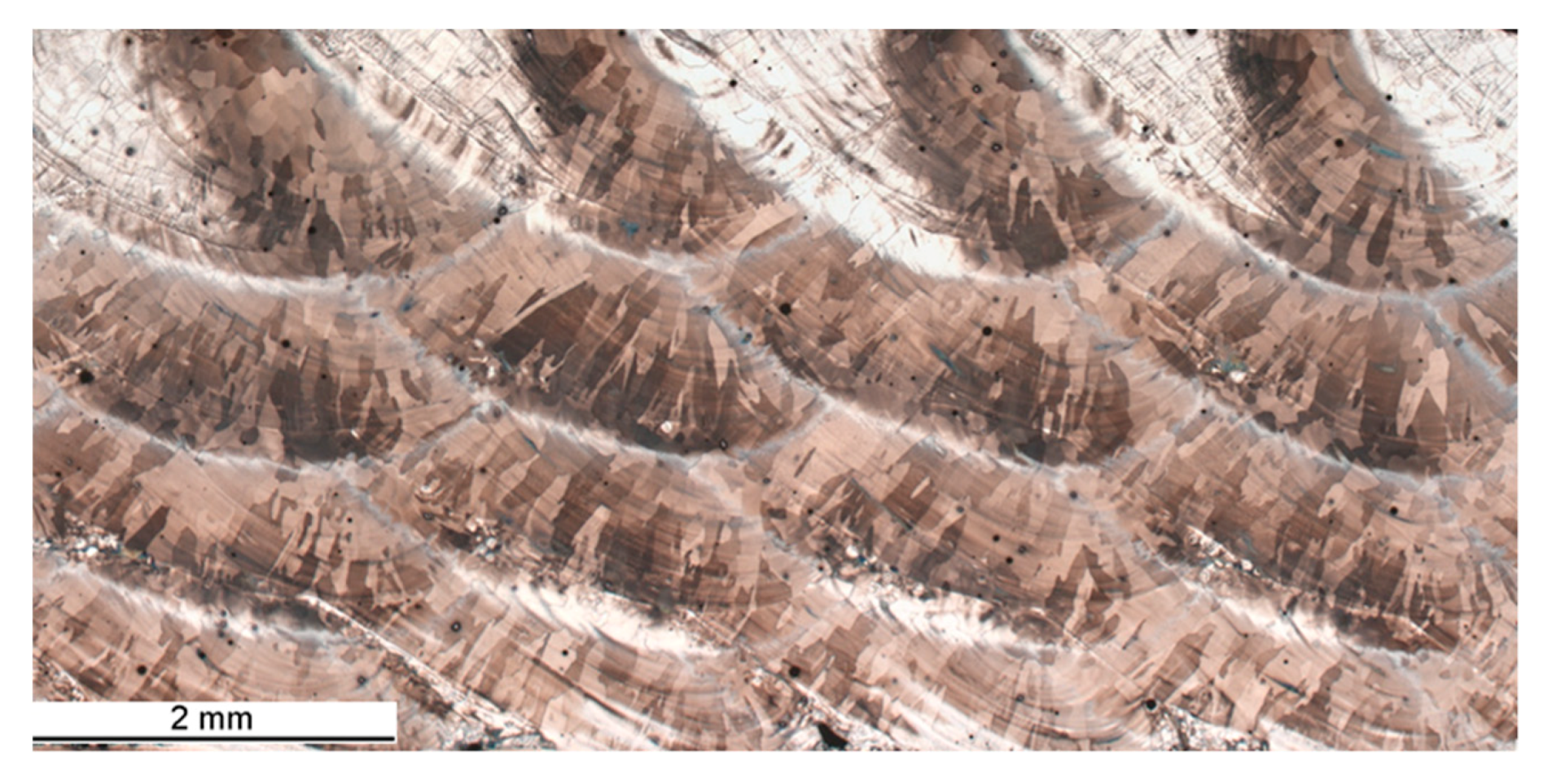 Applsci 10 05556 g022