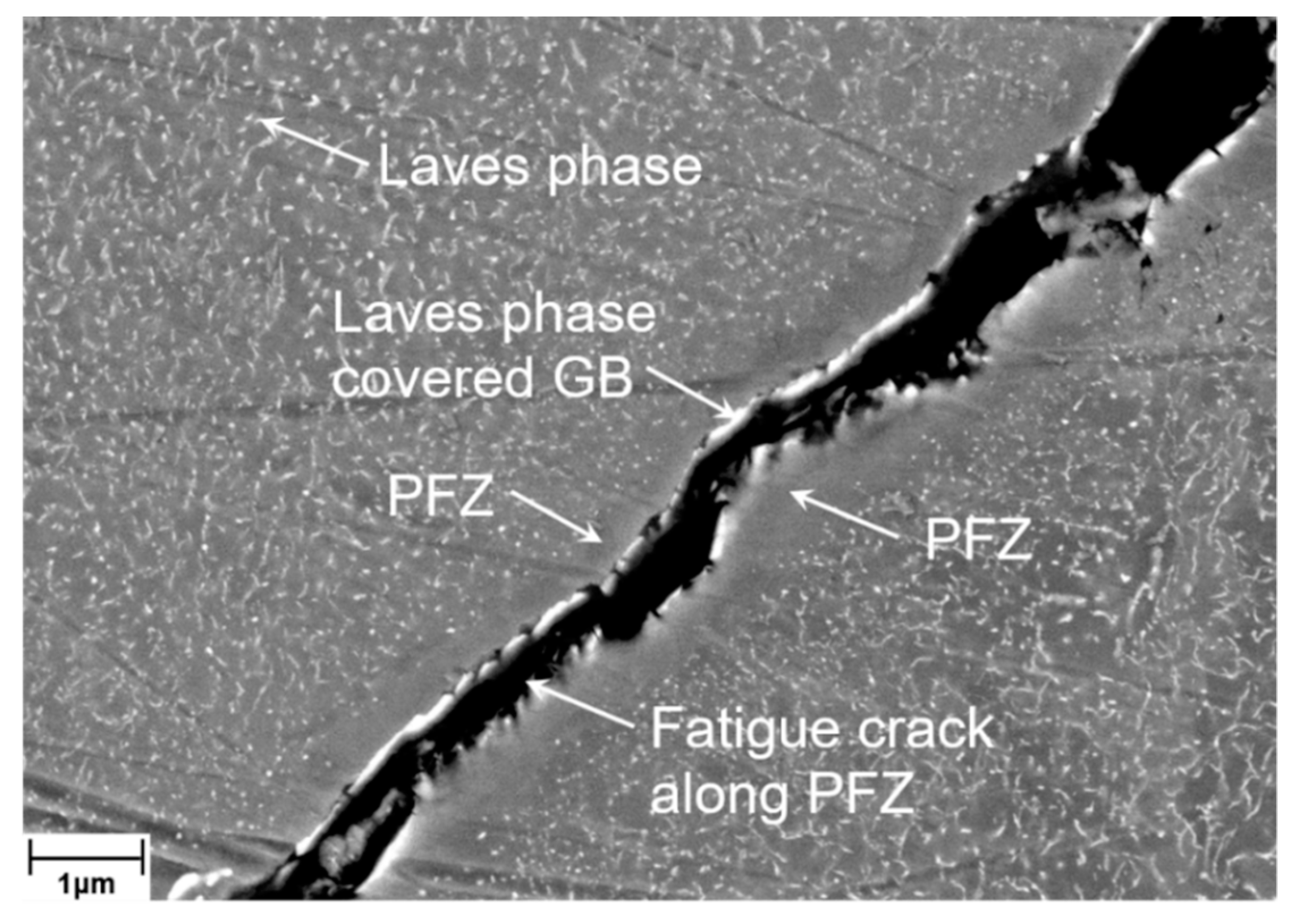 Applsci 10 05556 g023