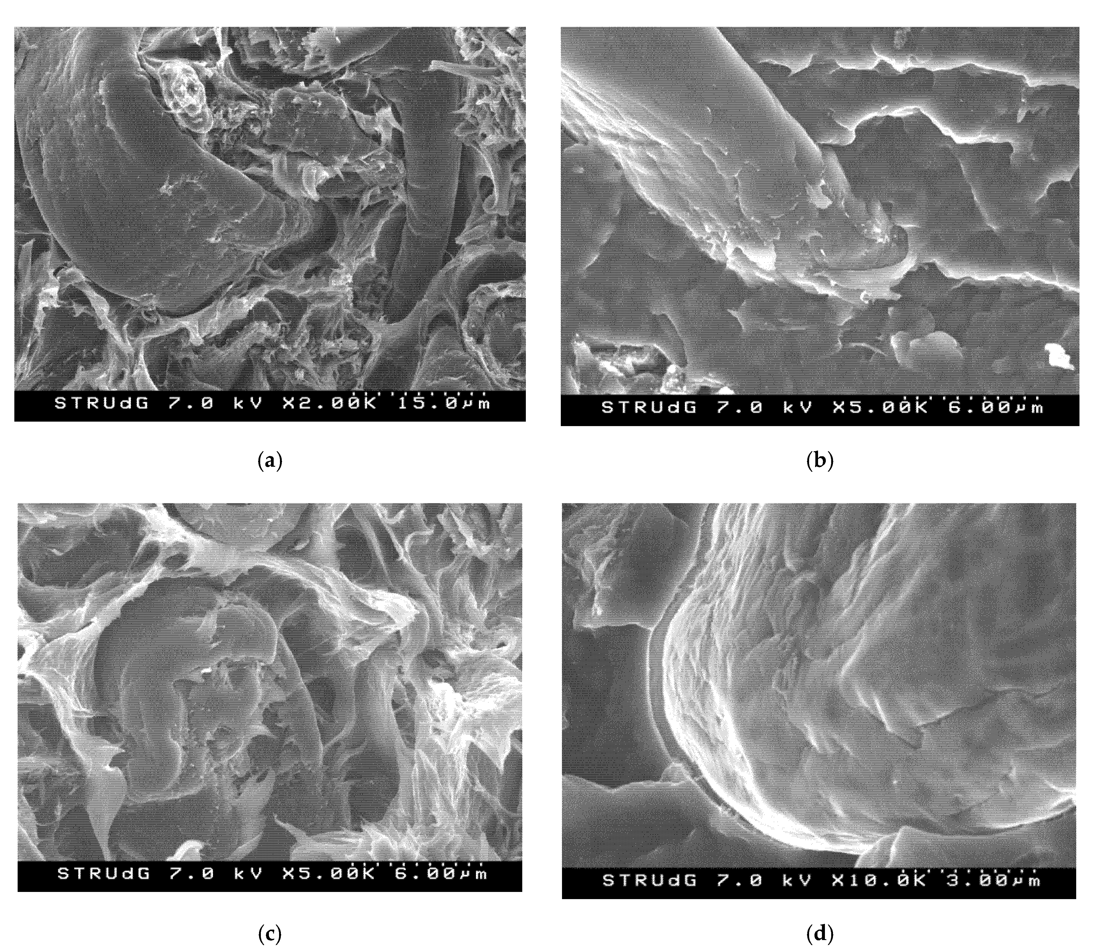 Applsci 10 05565 g011