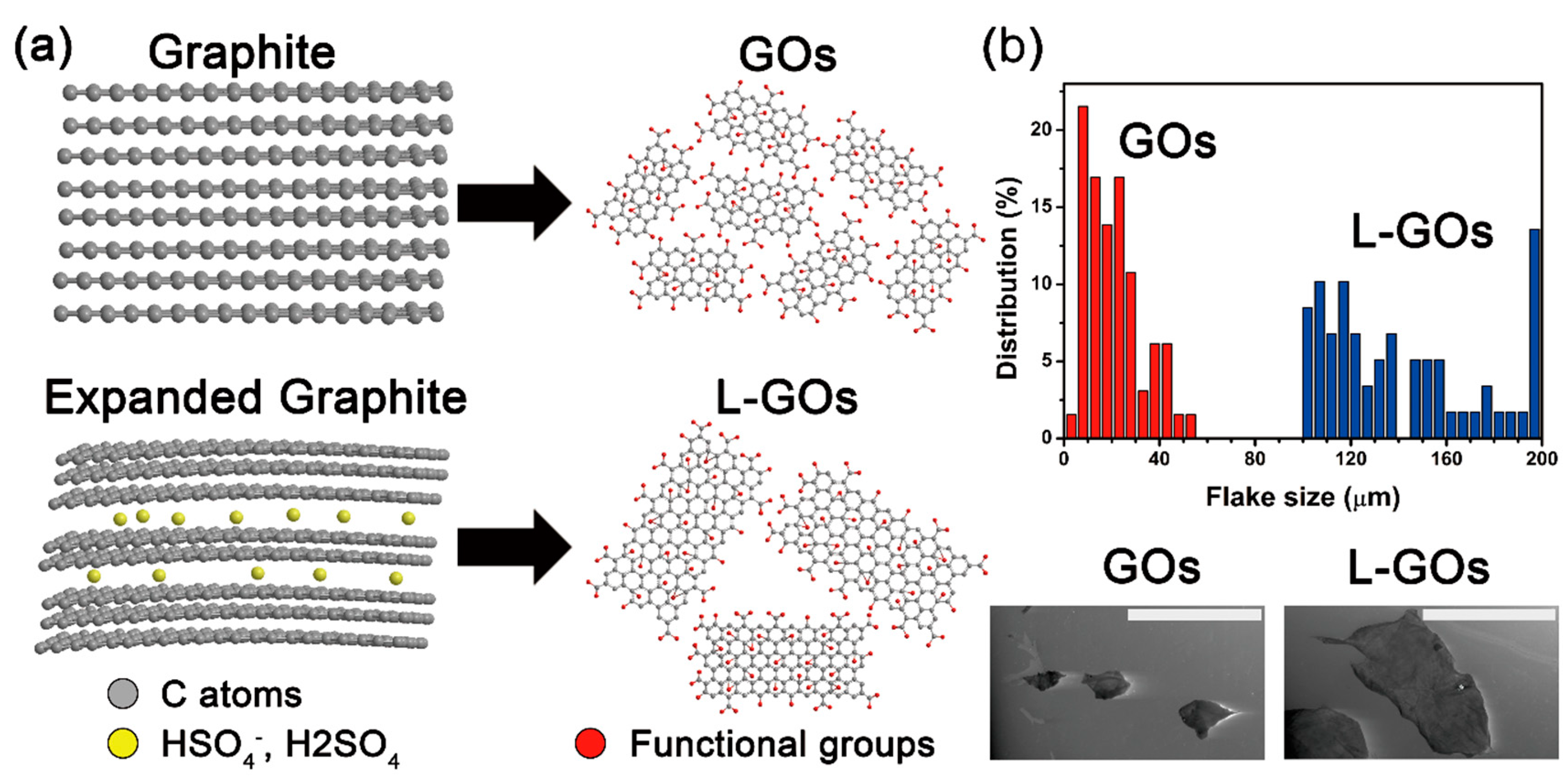 Applsci 10 05570 g001