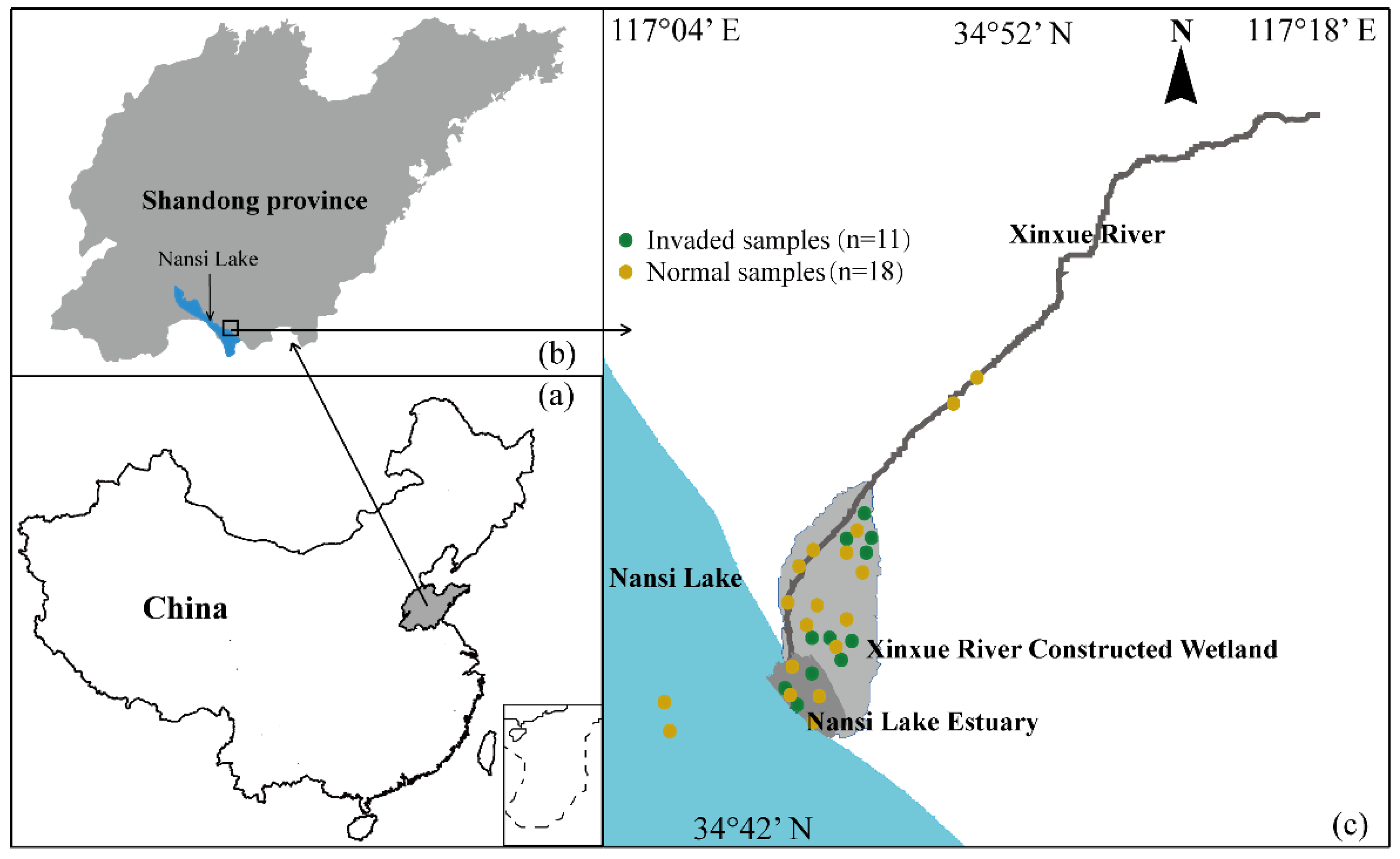 Applsci 10 05571 g001