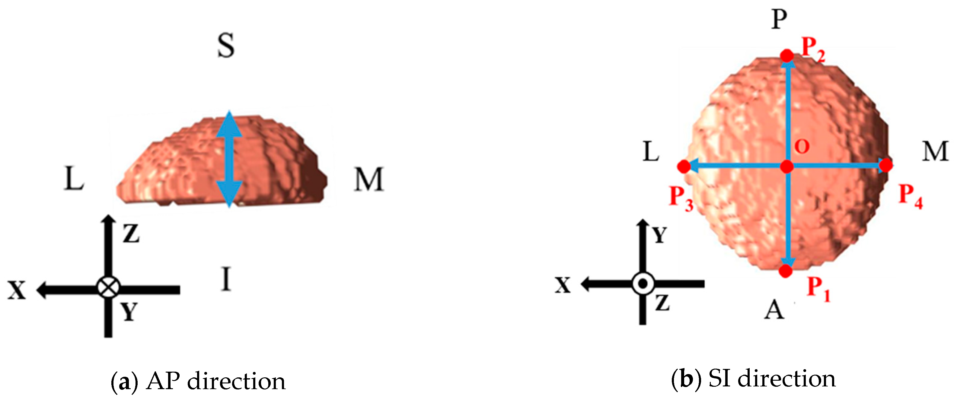 Applsci 10 05591 g005 Applsci 10 05591 g005