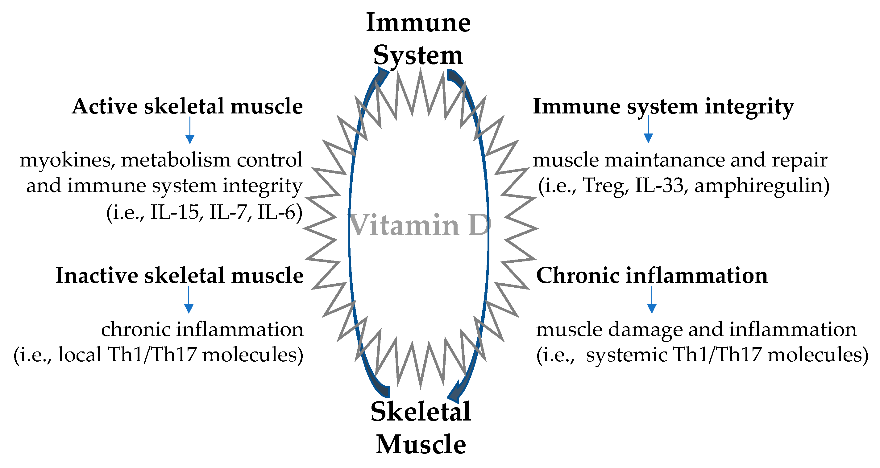 Applsci 10 05592 g002 Applsci 10 05592 g002