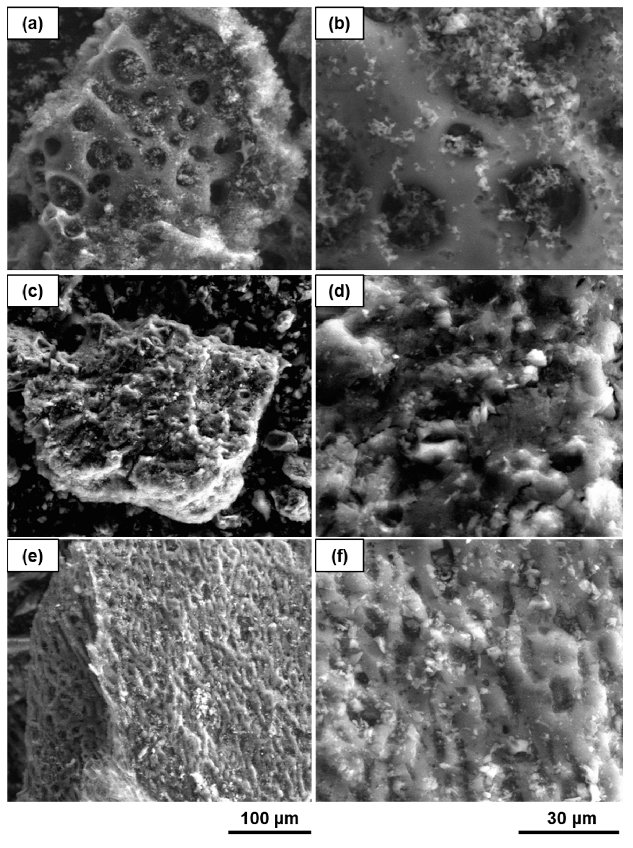 Applsci 10 05598 g001 Applsci 10 05598 g001