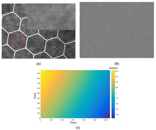 Wavelength-Tuning Common-Path Digital Holographic Microscopy for ...