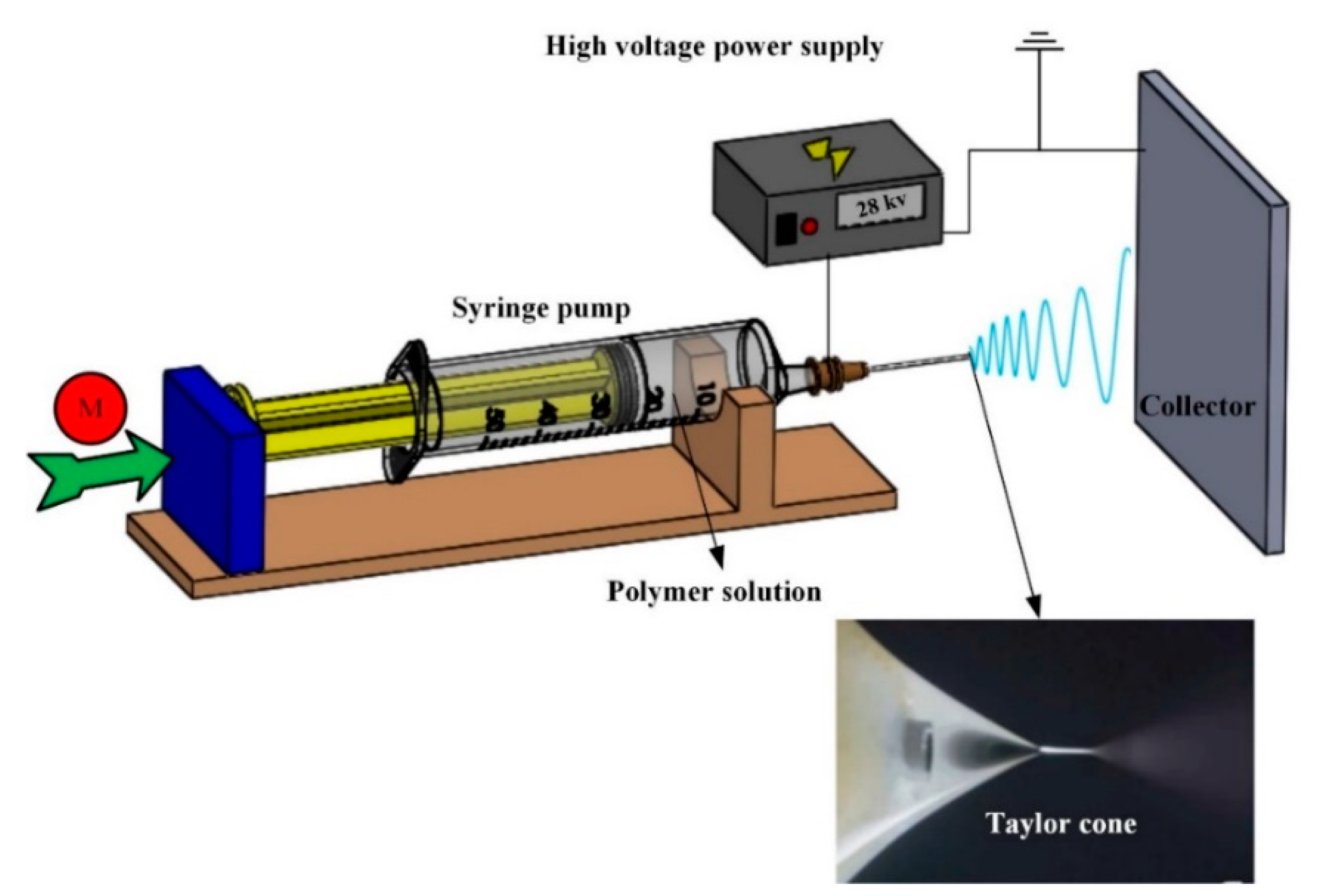 Applsci 10 05618 g001 Applsci 10 05618 g001