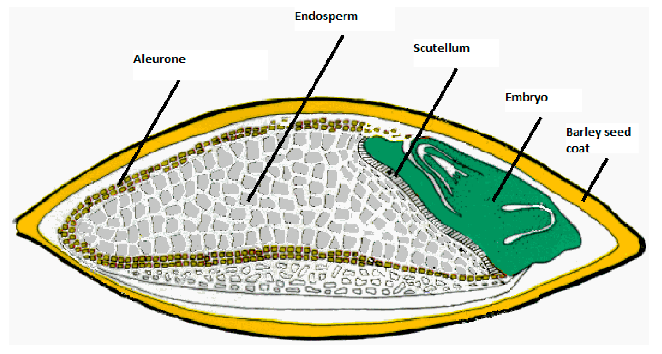 Applsci 10 05619 g001 Applsci 10 05619 g001