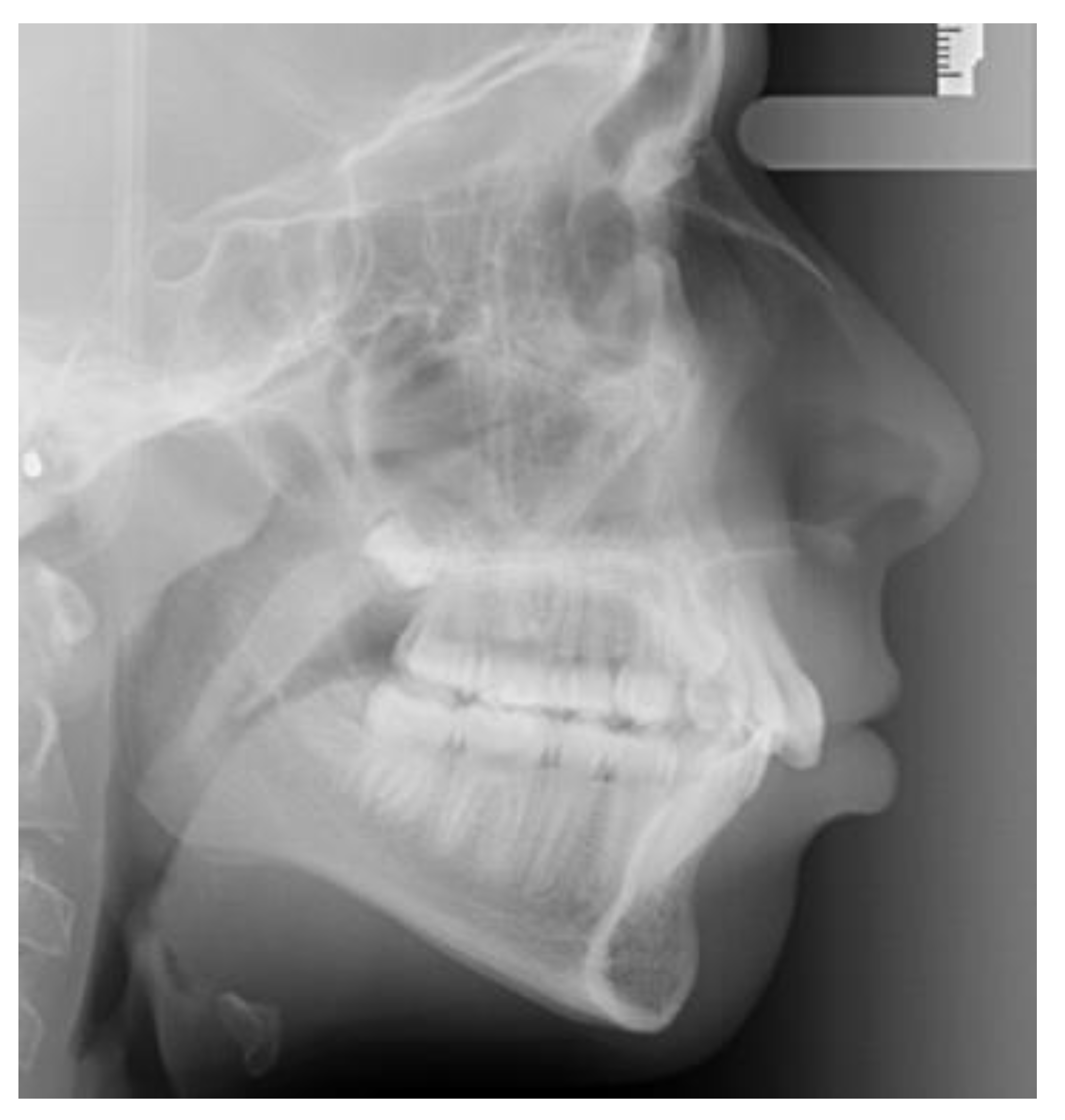 Applsci 10 05638 g002