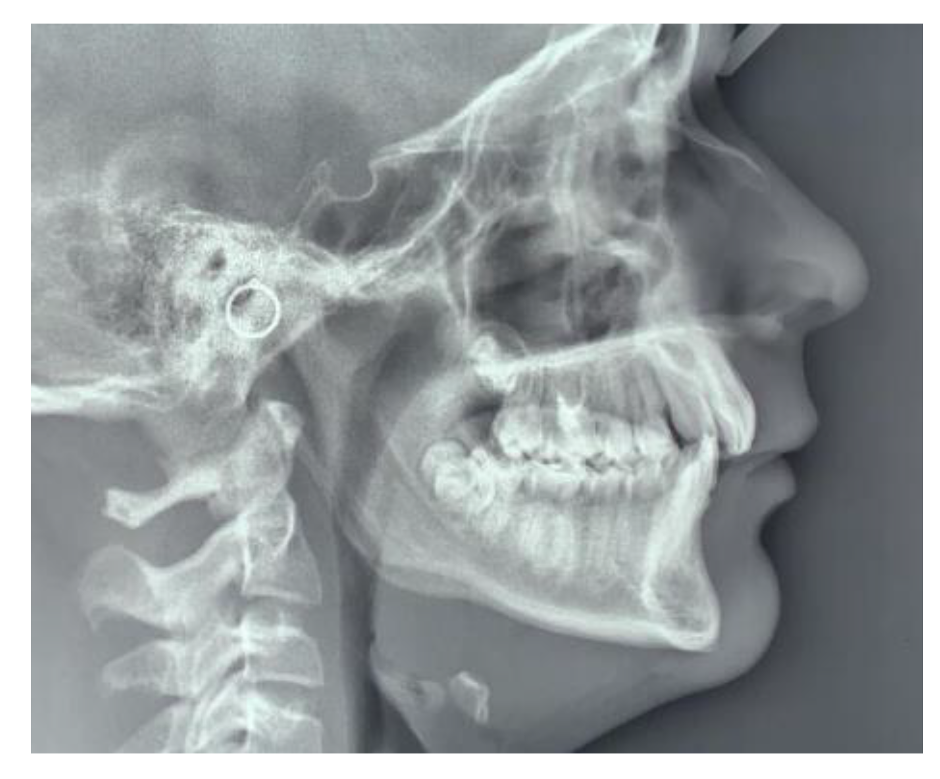 Applsci 10 05638 g003