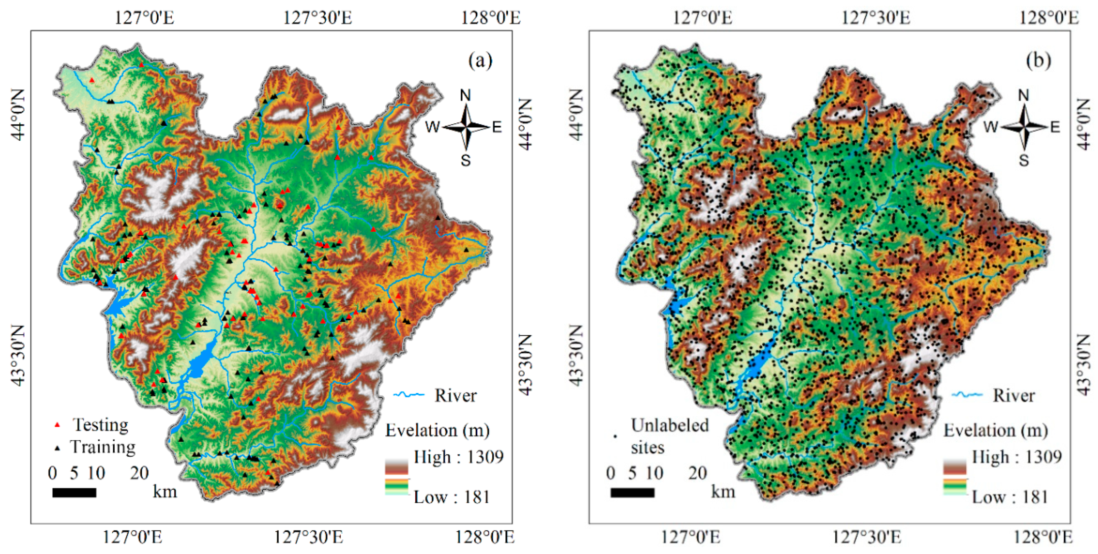 Applsci 10 05640 g004