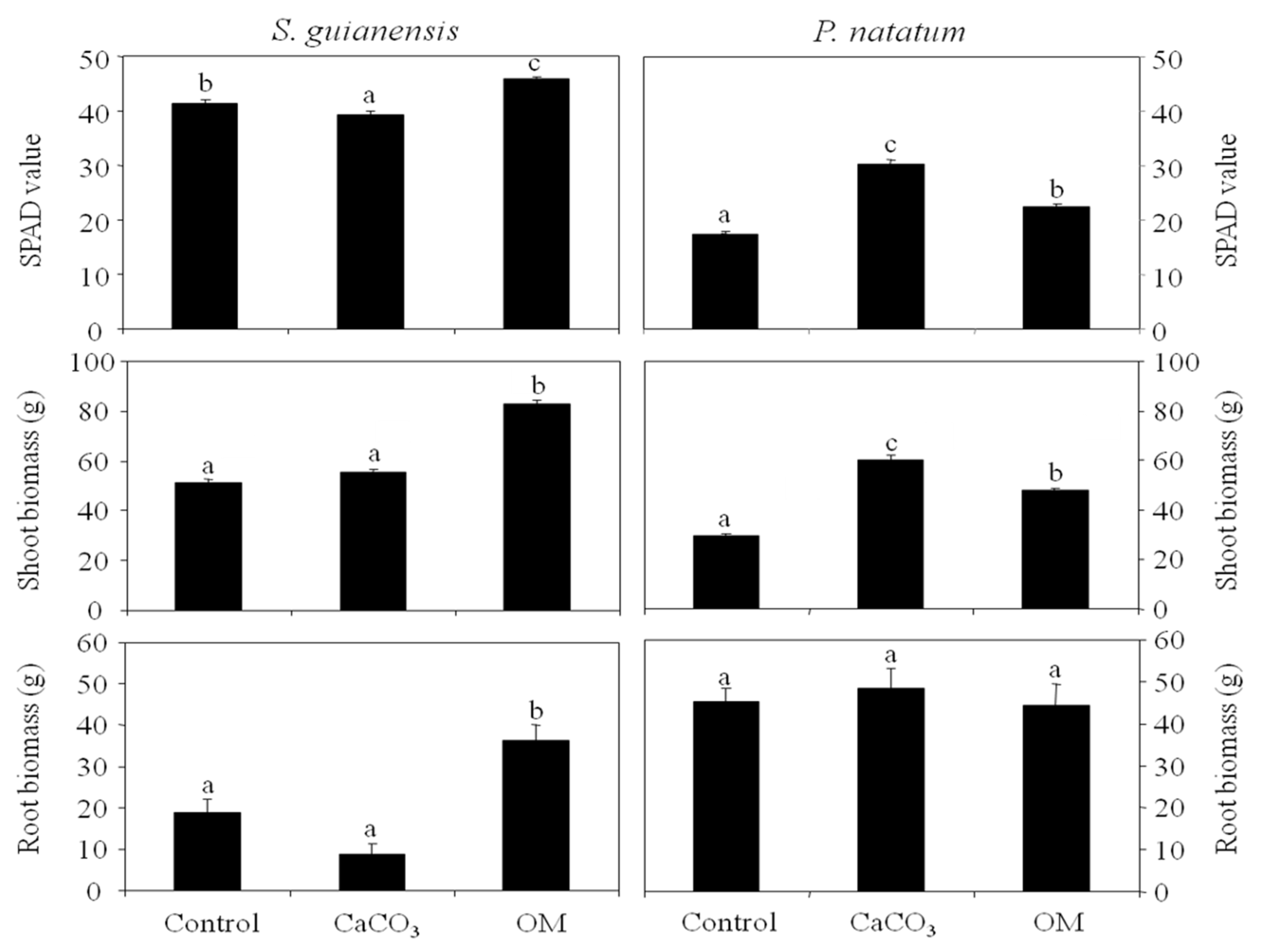Applsci 10 05681 g001