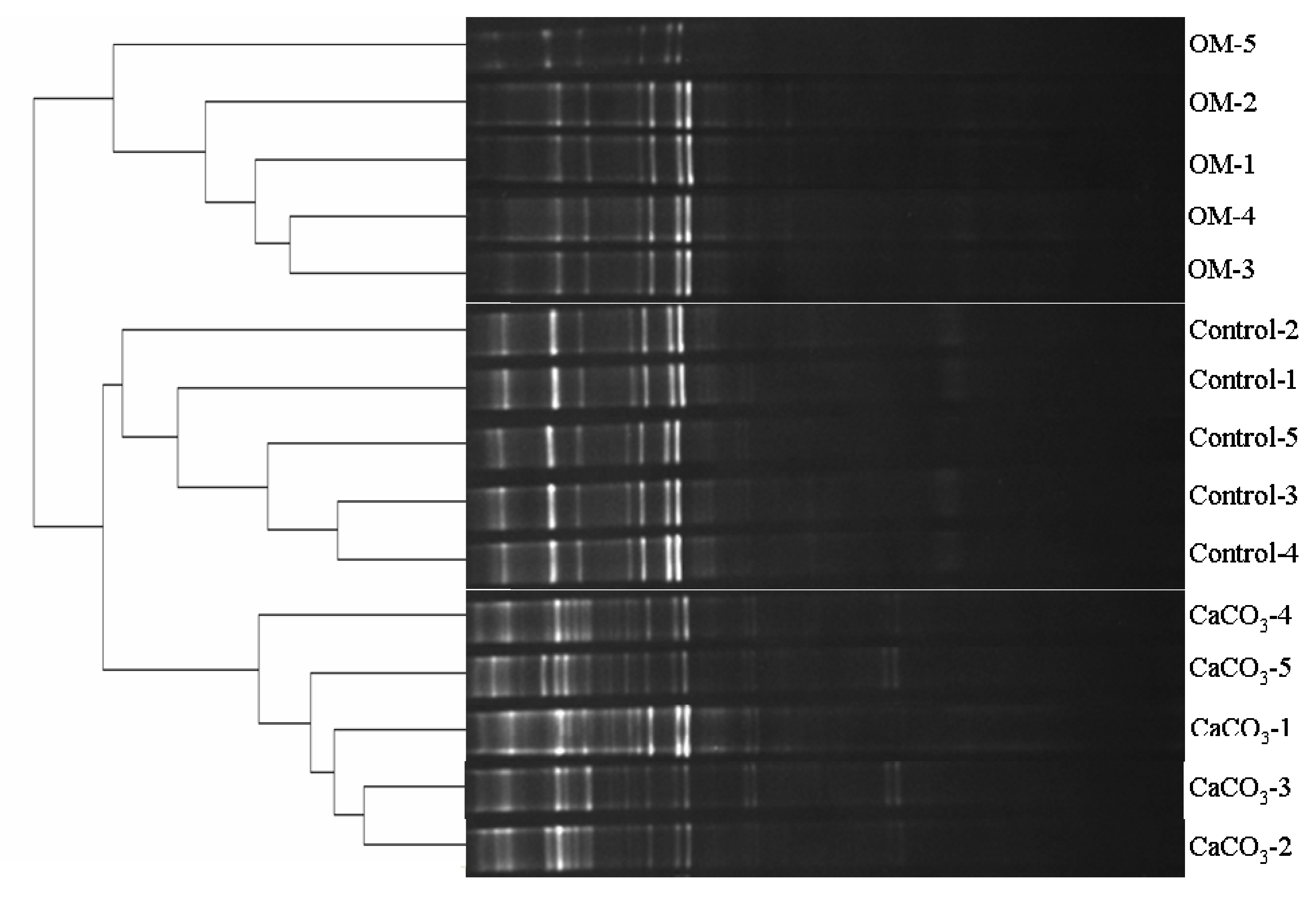 Applsci 10 05681 g003