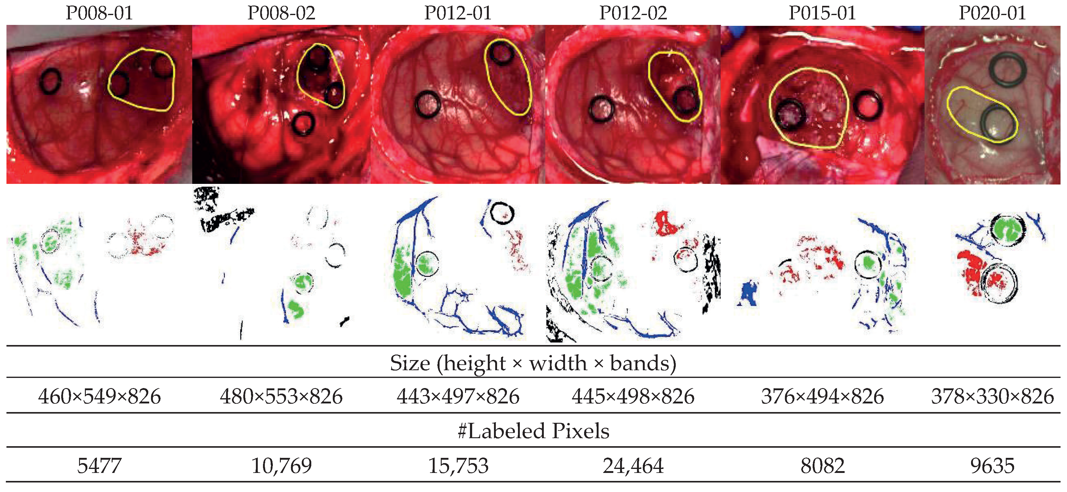 Applsci 10 05686 g001