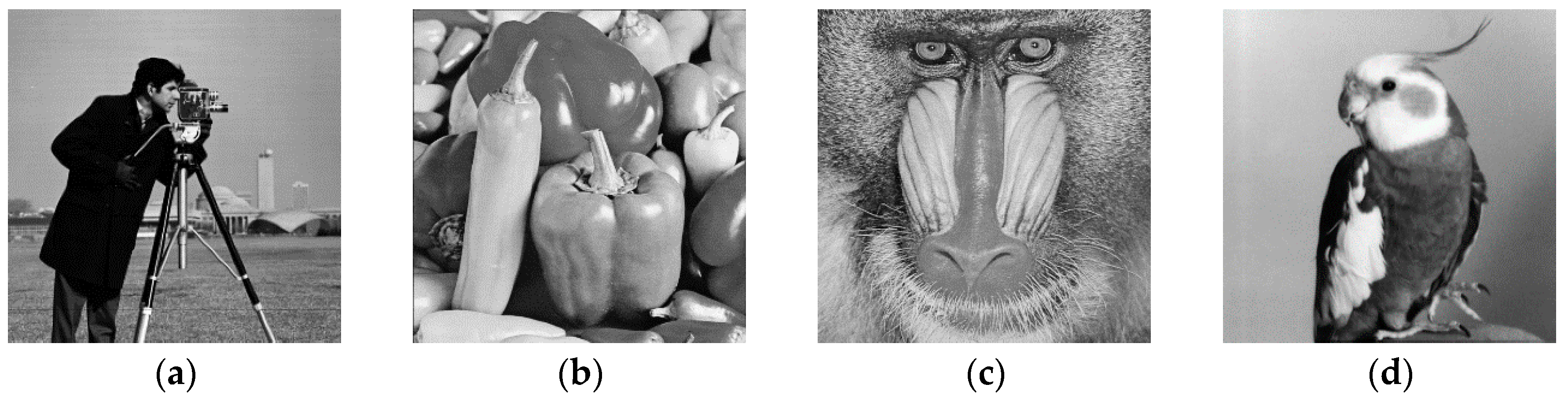 Applsci 10 05691 g005a