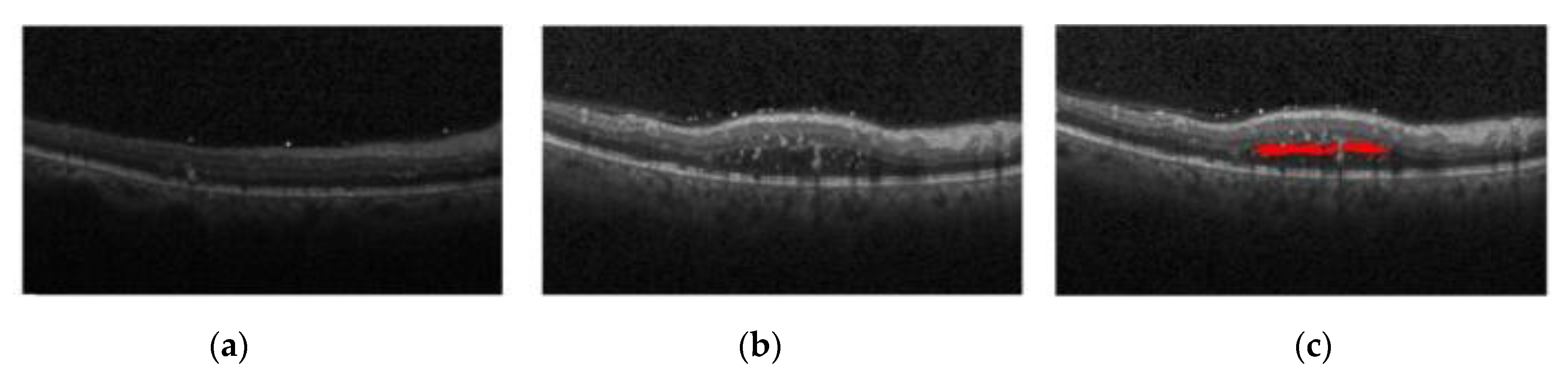 Applsci 10 05701 g001