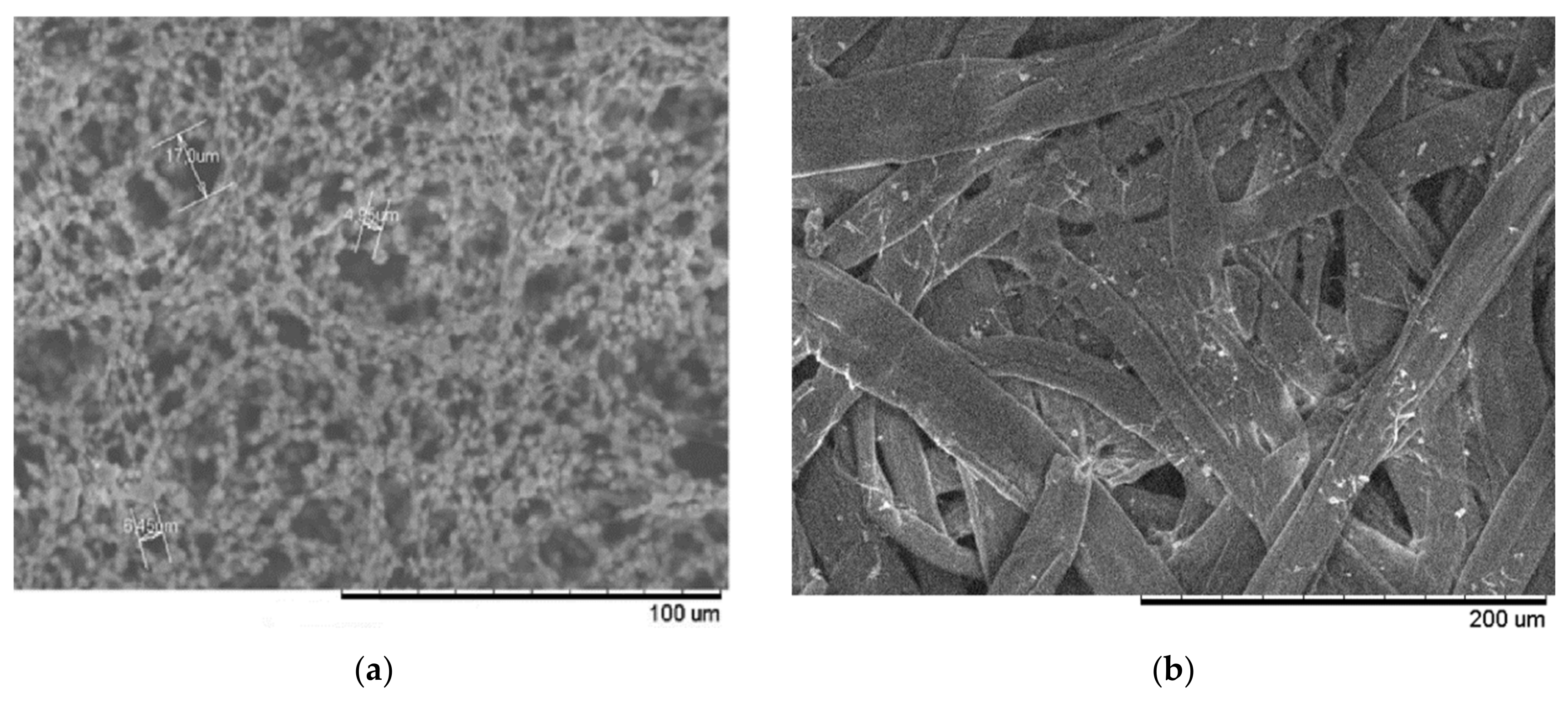 Applsci 10 05703 g004 Applsci 10 05703 g004