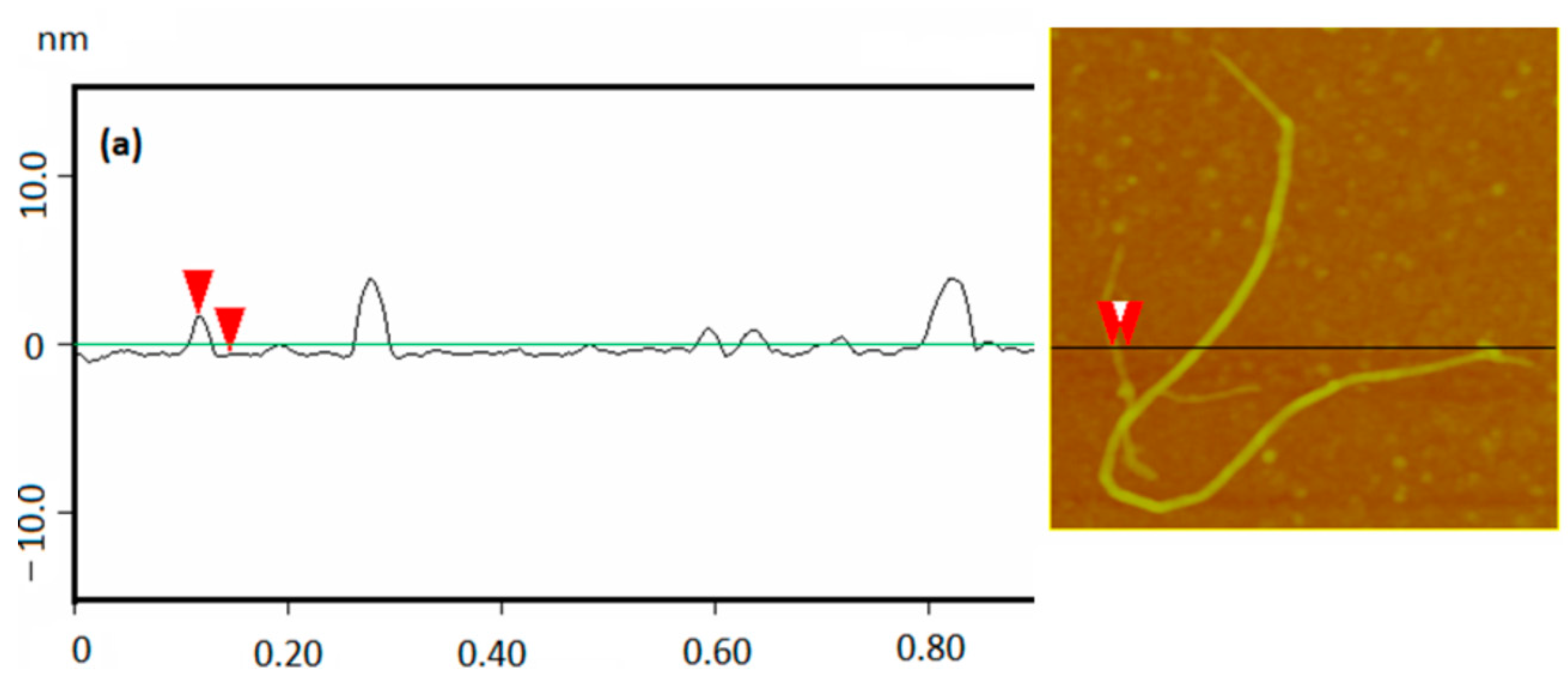 Applsci 10 05737 g004a