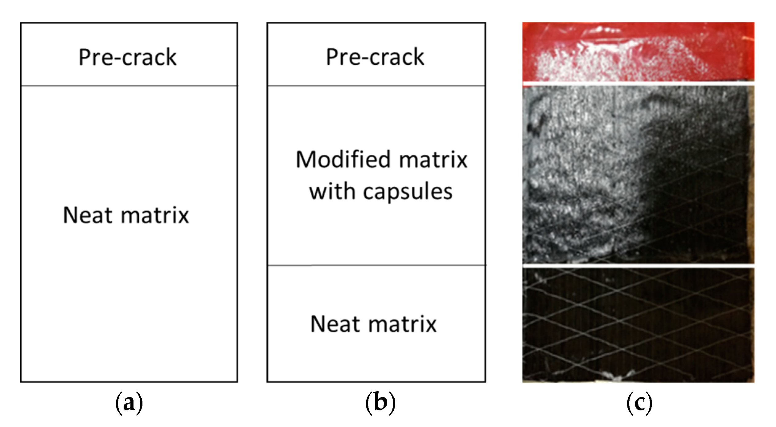 Applsci 10 05739 g002
