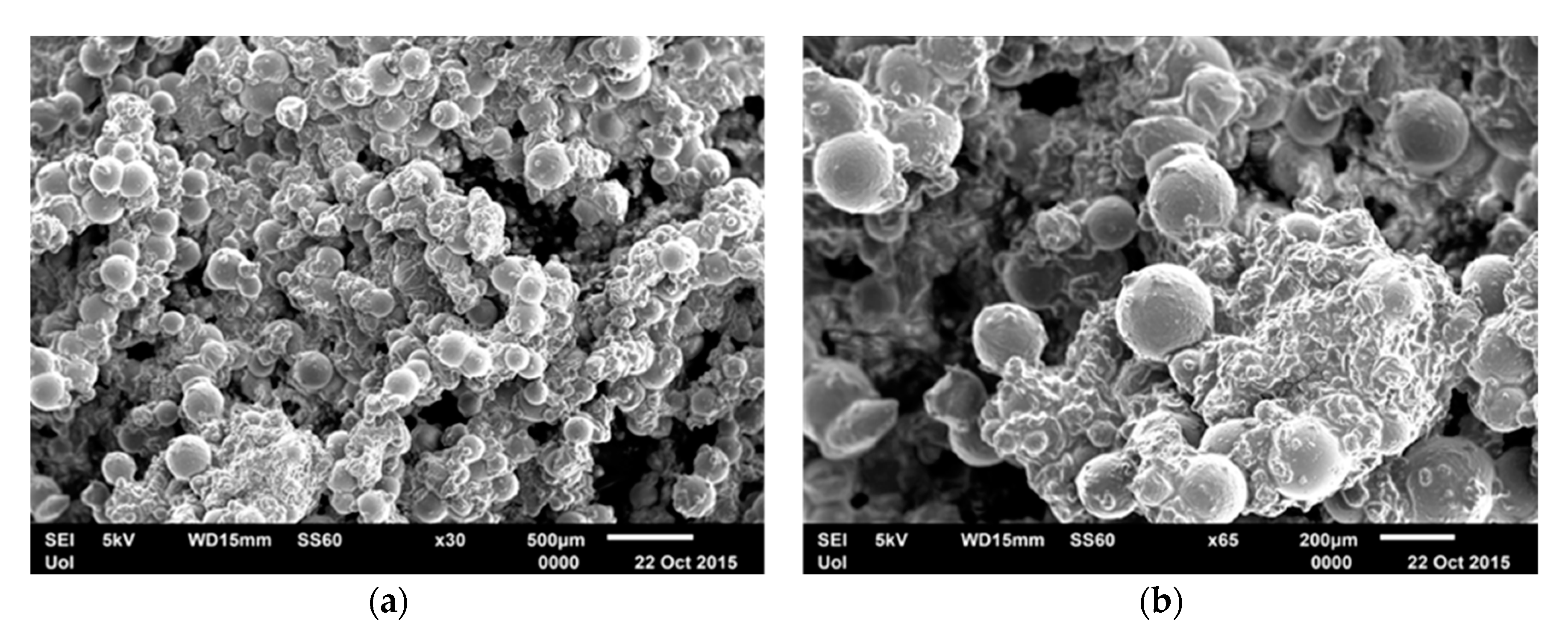 Applsci 10 05739 g006