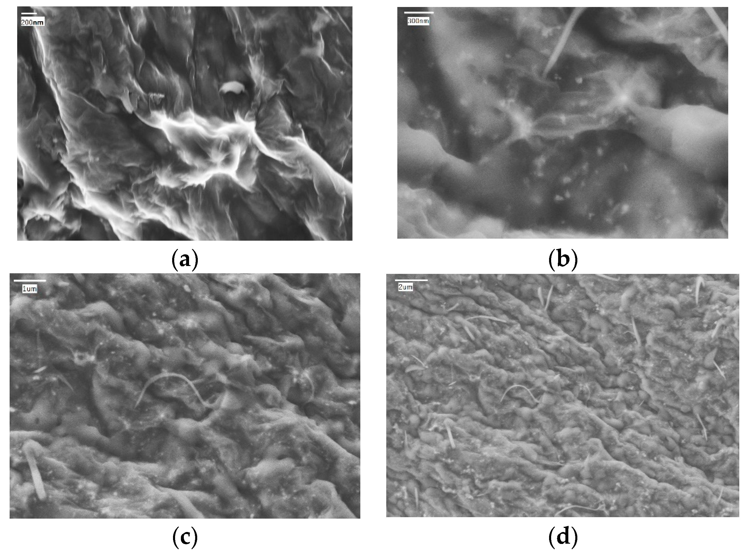 Applsci 10 05768 g002 Applsci 10 05768 g002