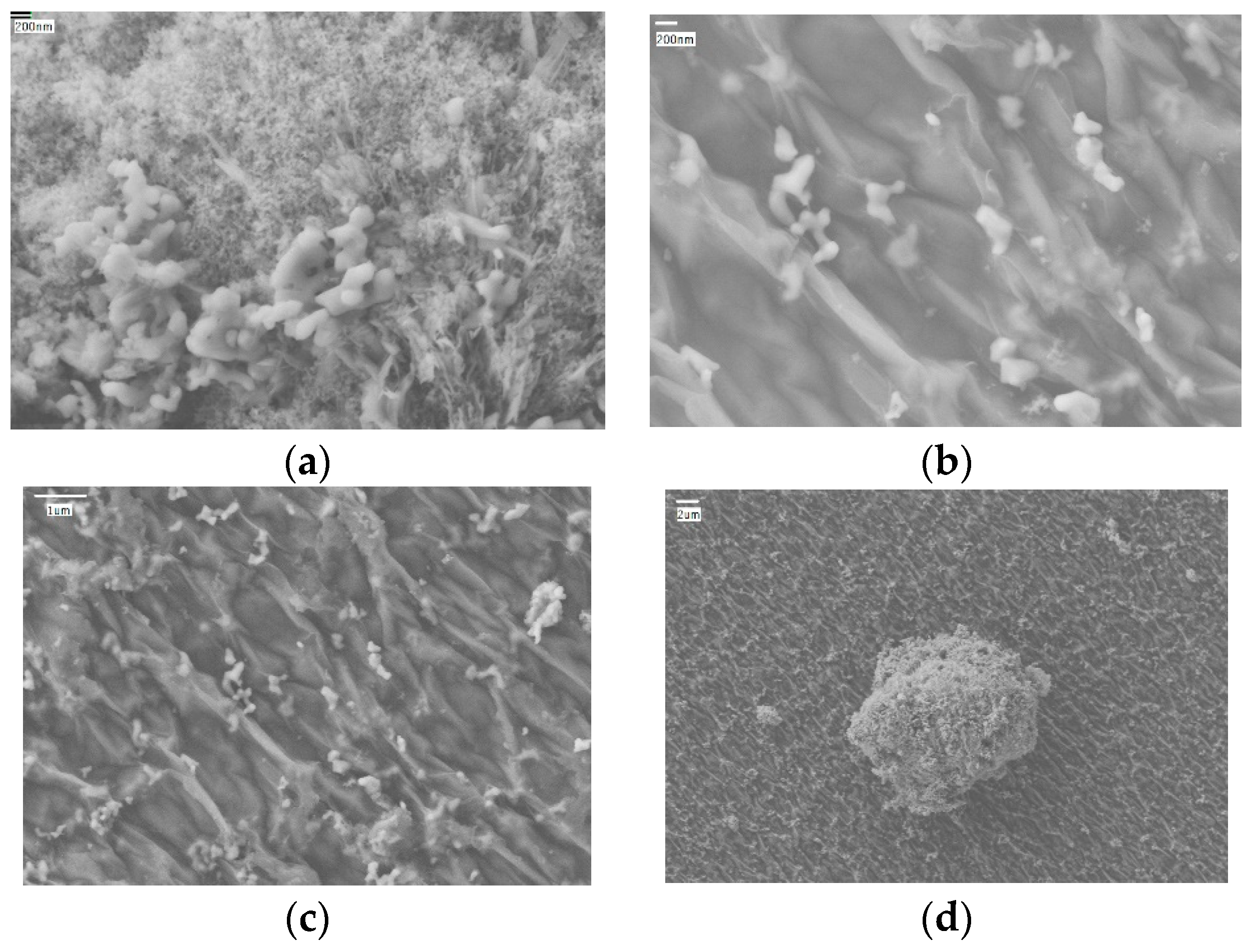 Applsci 10 05768 g003 Applsci 10 05768 g003