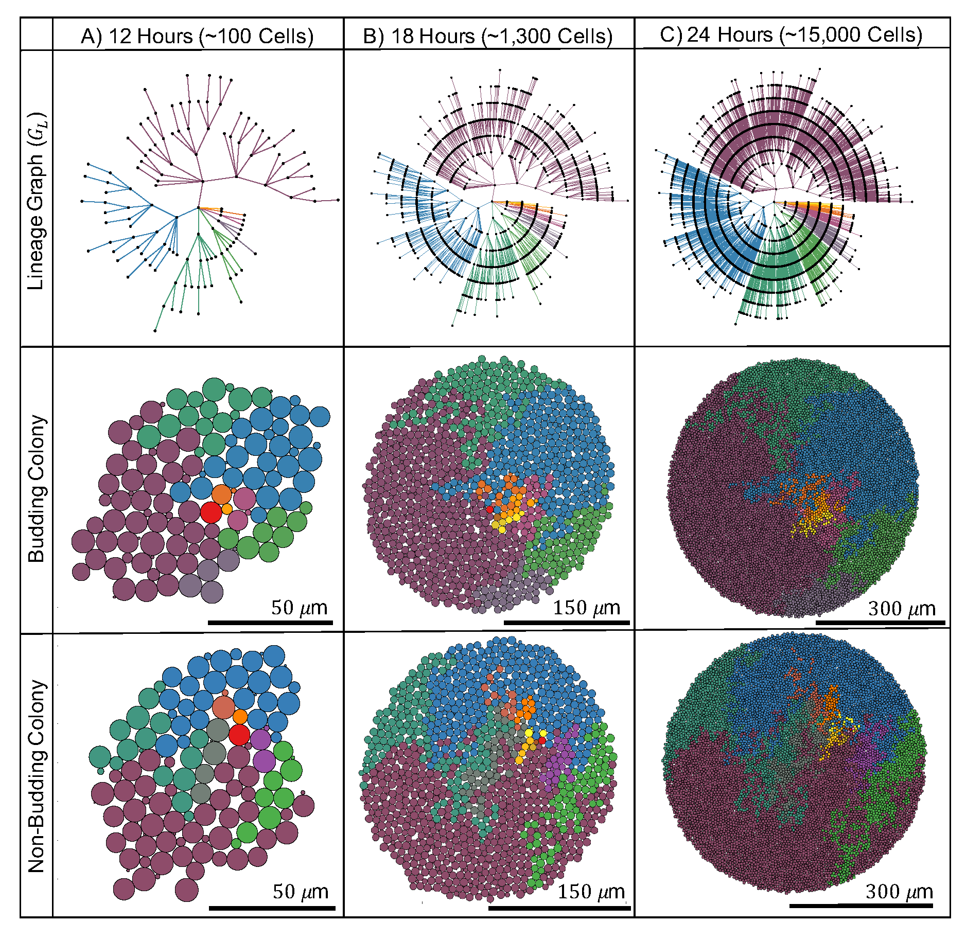 Applsci 10 05780 g002 Applsci 10 05780 g002