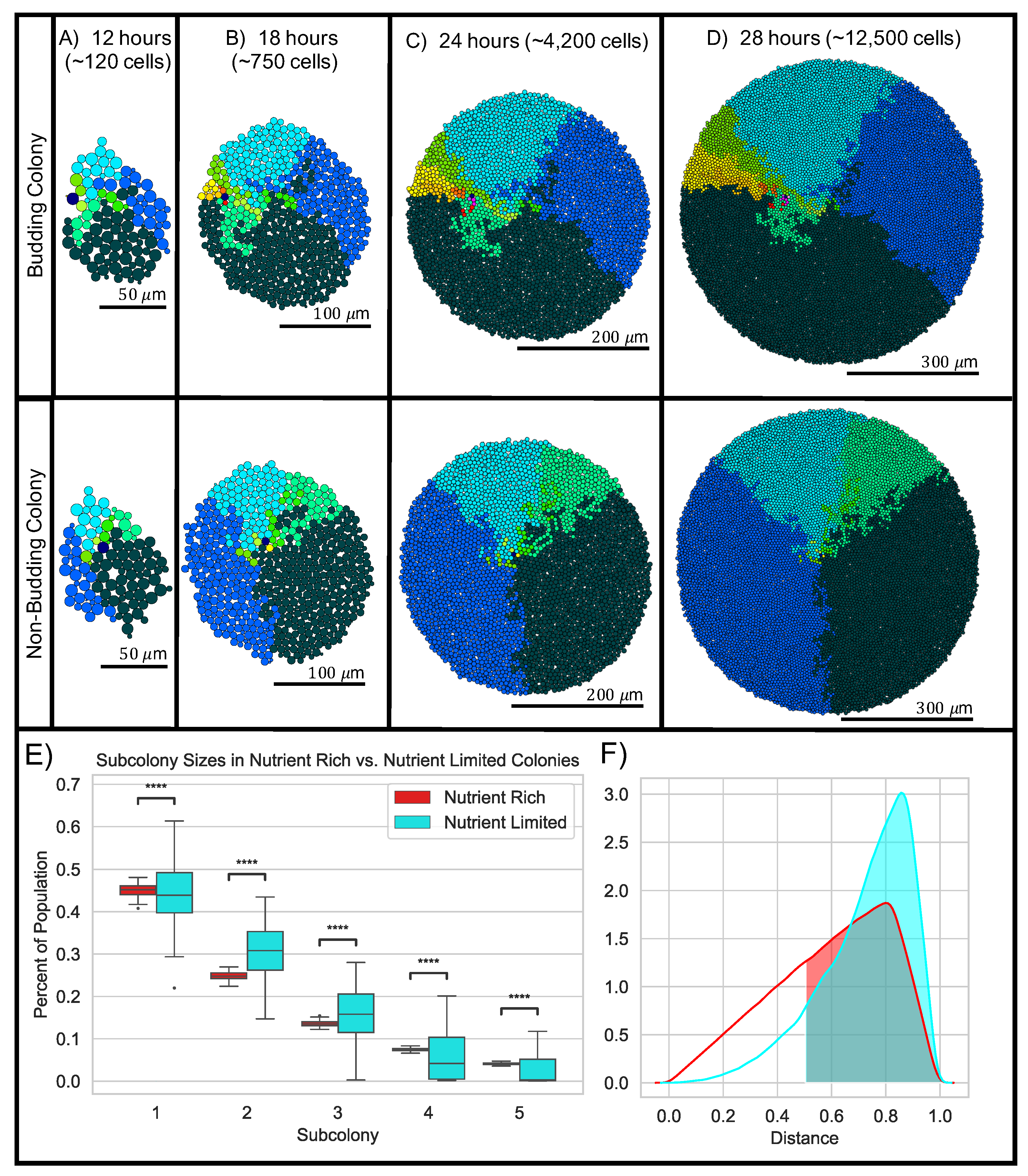 Applsci 10 05780 g011 Applsci 10 05780 g011