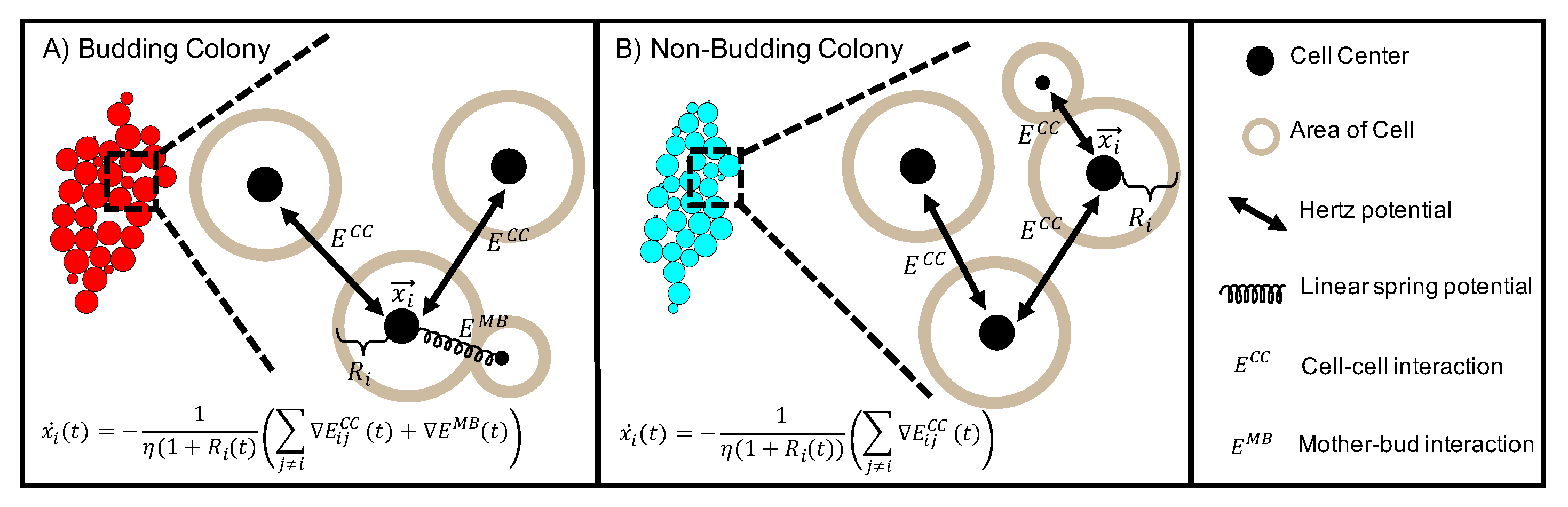Applsci 10 05780 g012 Applsci 10 05780 g012