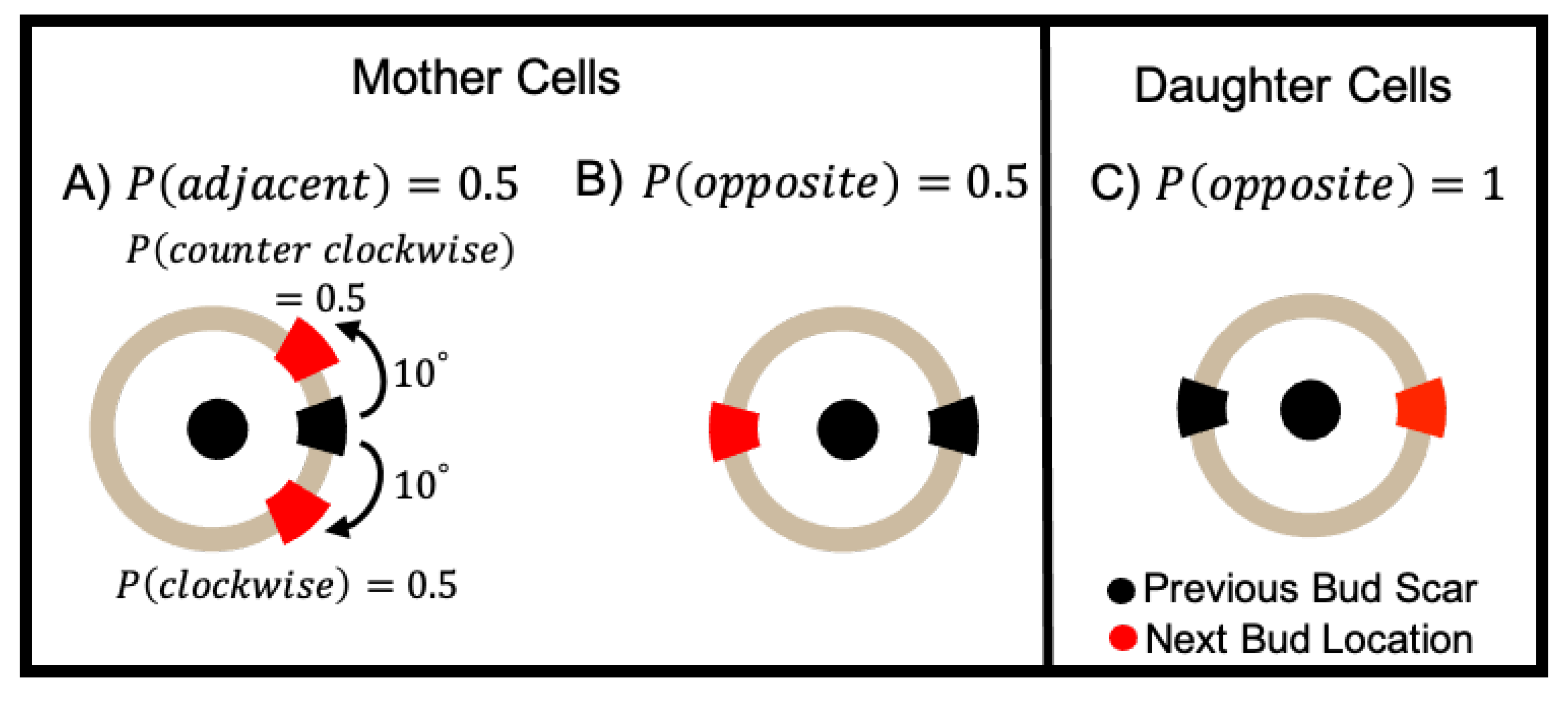 Applsci 10 05780 g013 Applsci 10 05780 g013