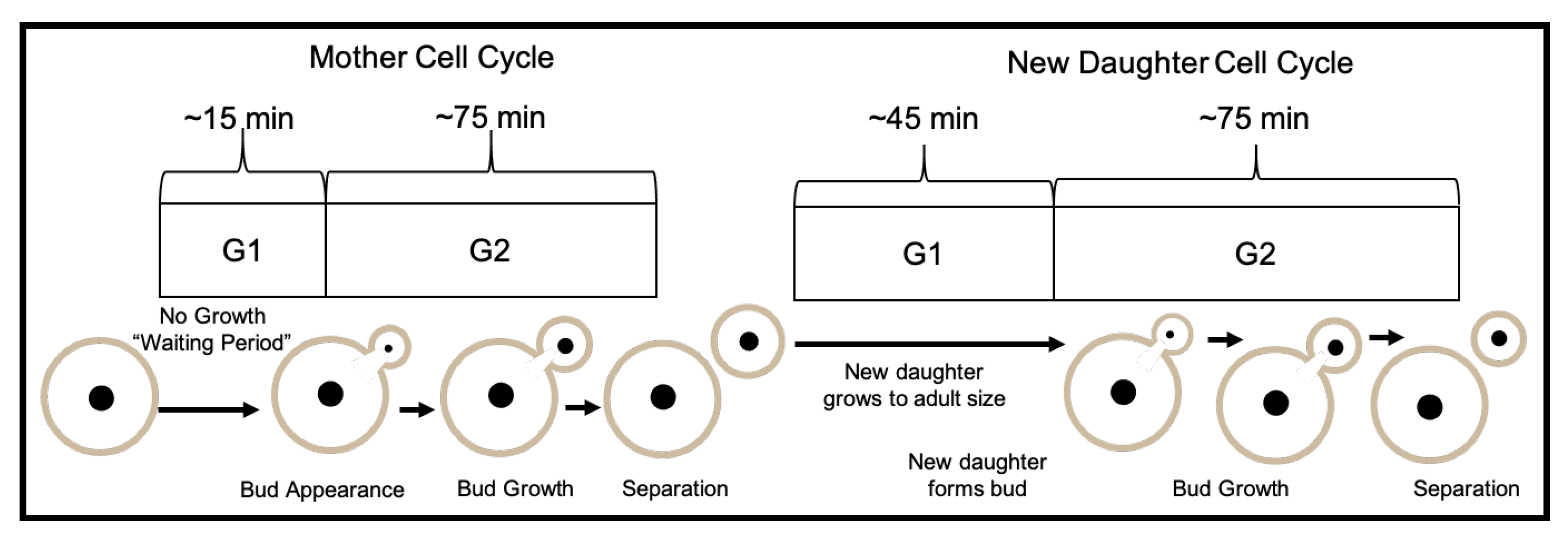 Applsci 10 05780 g014 Applsci 10 05780 g014