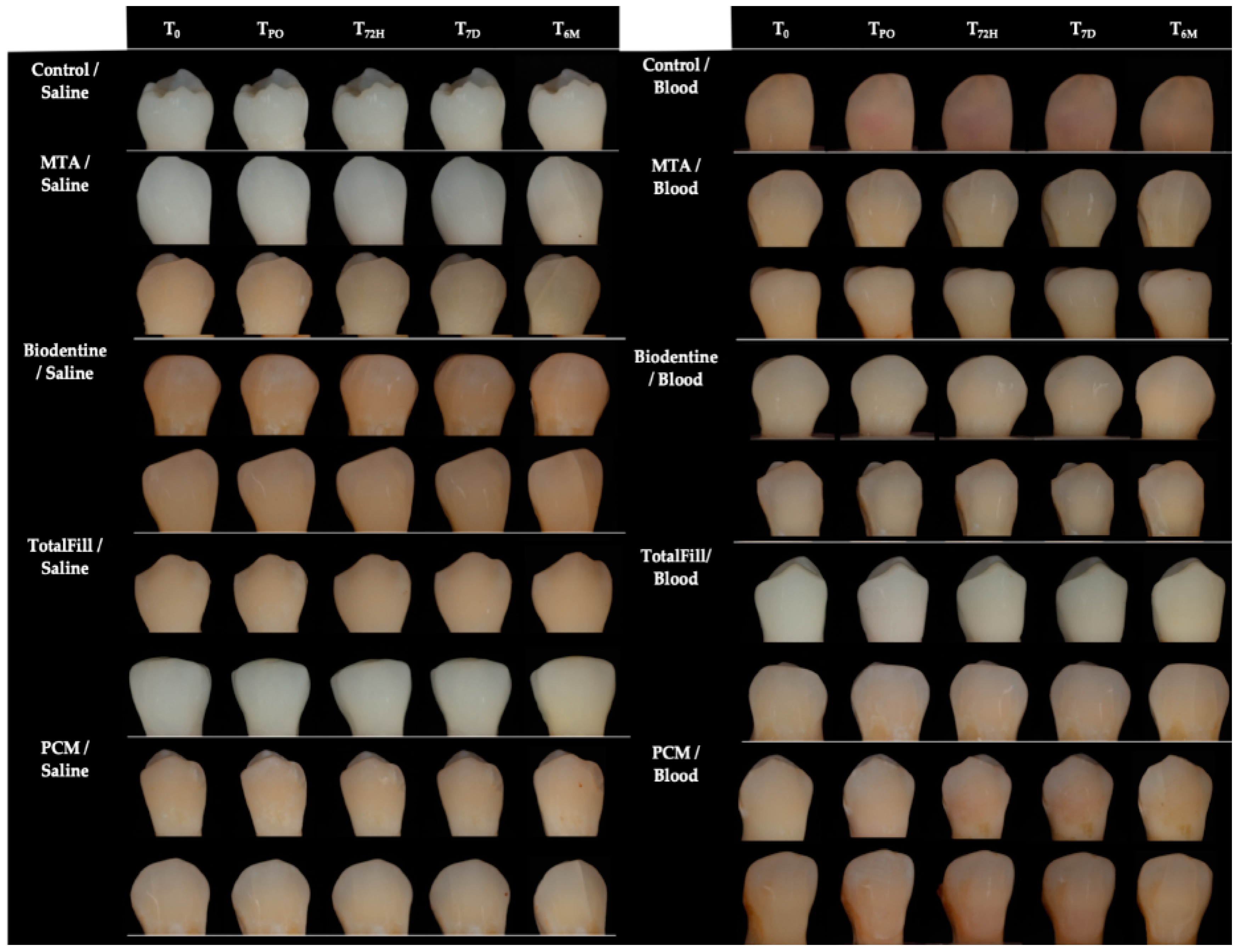 Applsci 10 05793 g003
