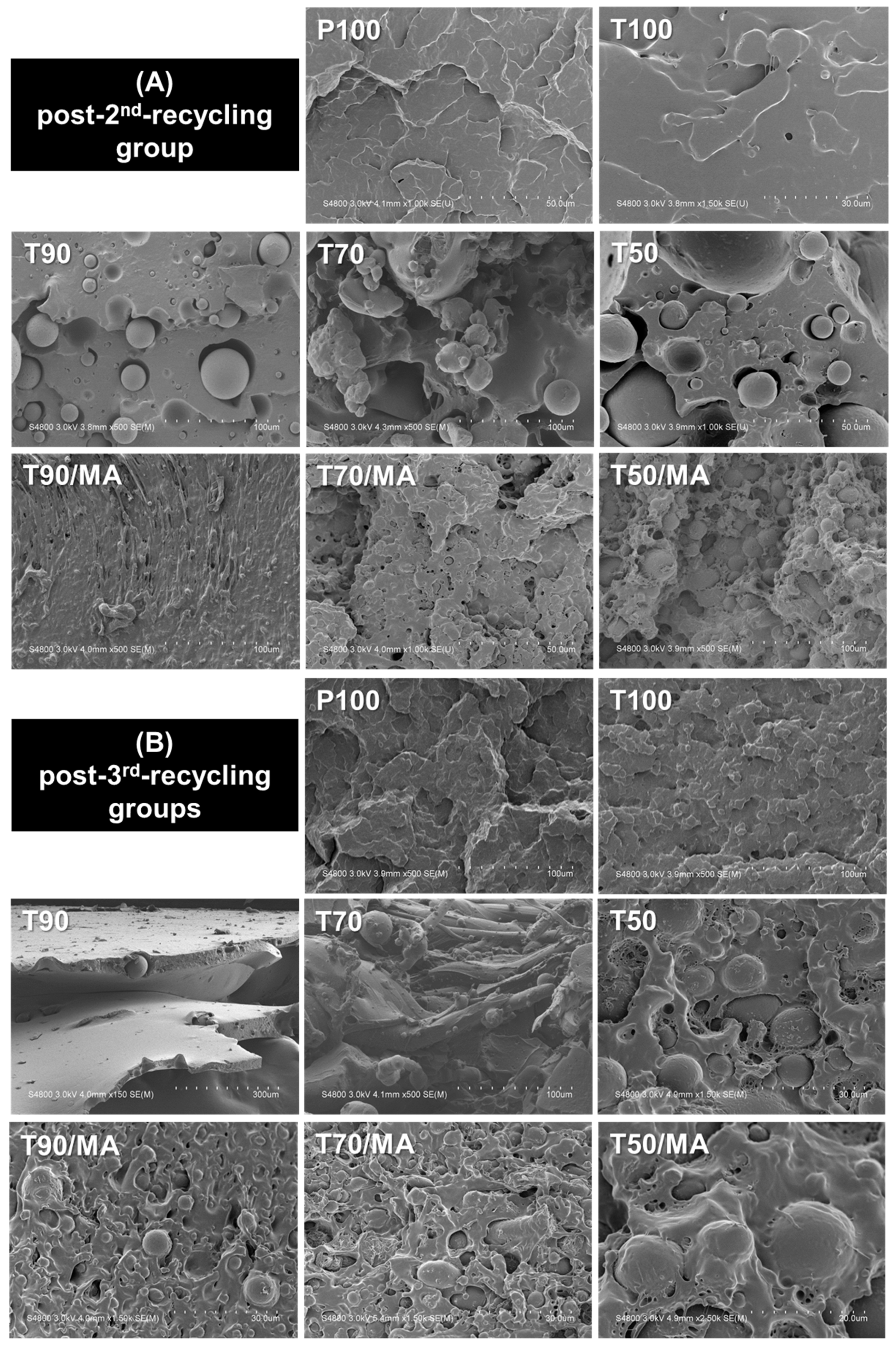 Applsci 10 05810 g003