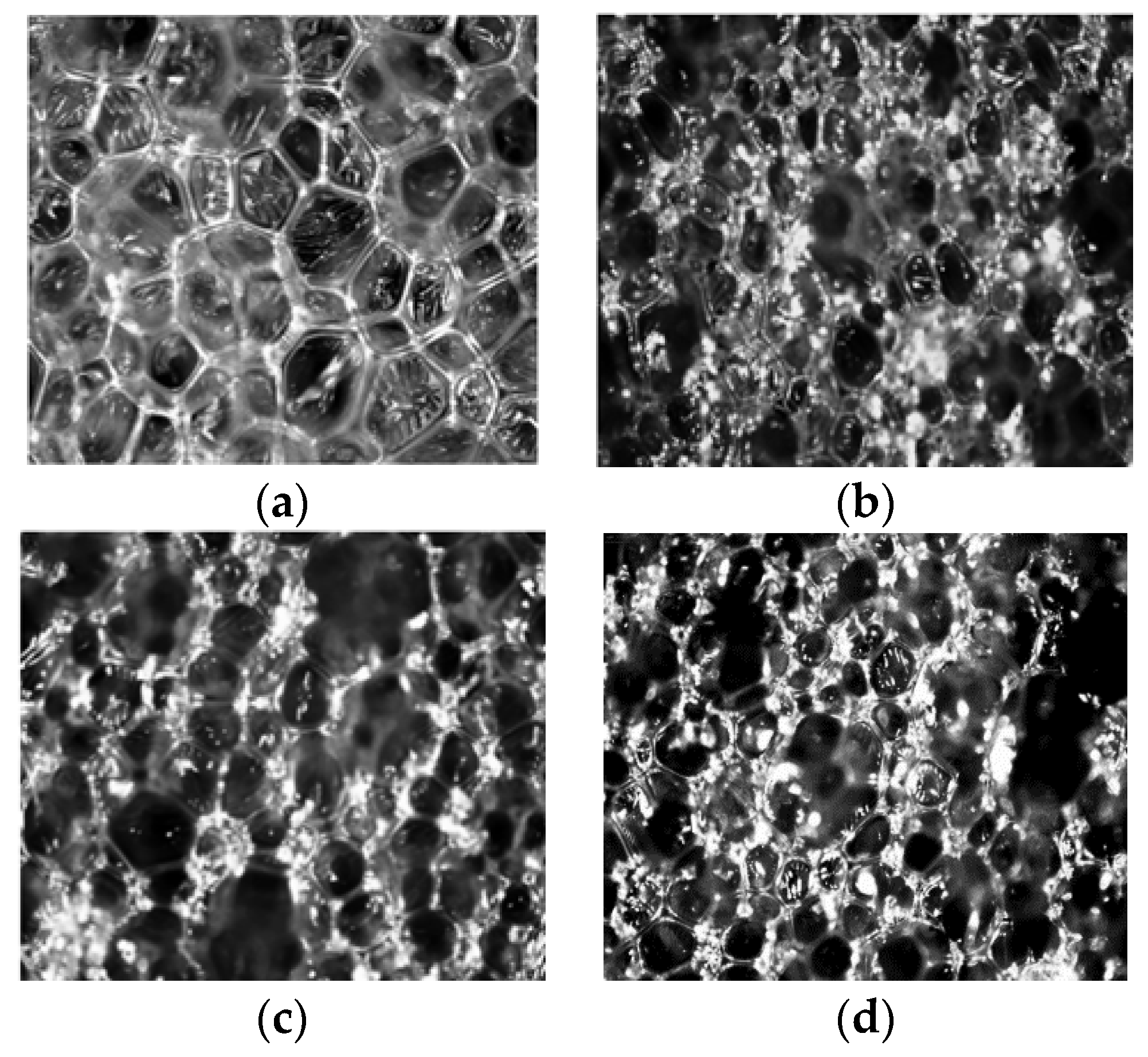 Applsci 10 05817 g003 Applsci 10 05817 g003