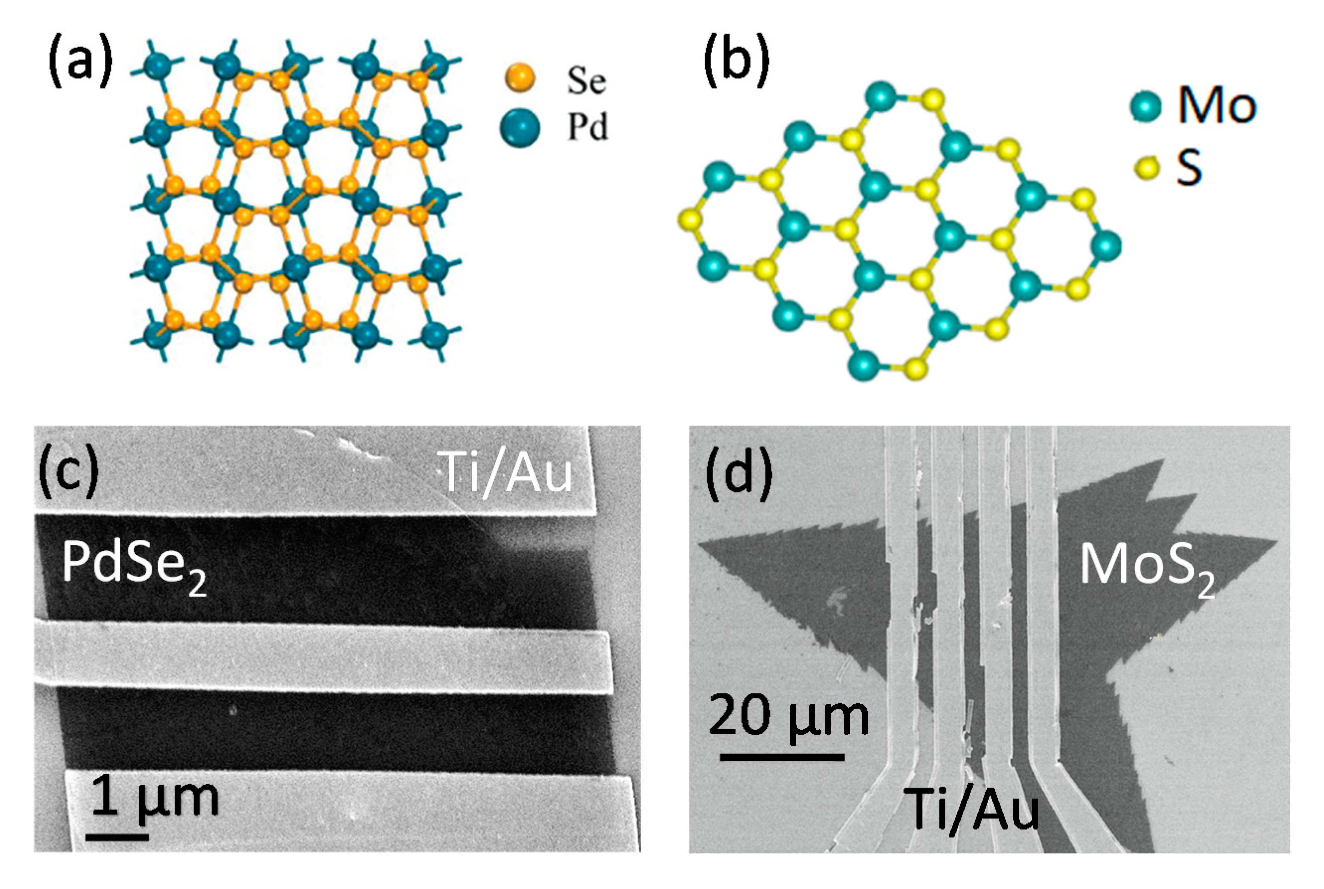 Applsci 10 05840 g001 Applsci 10 05840 g001