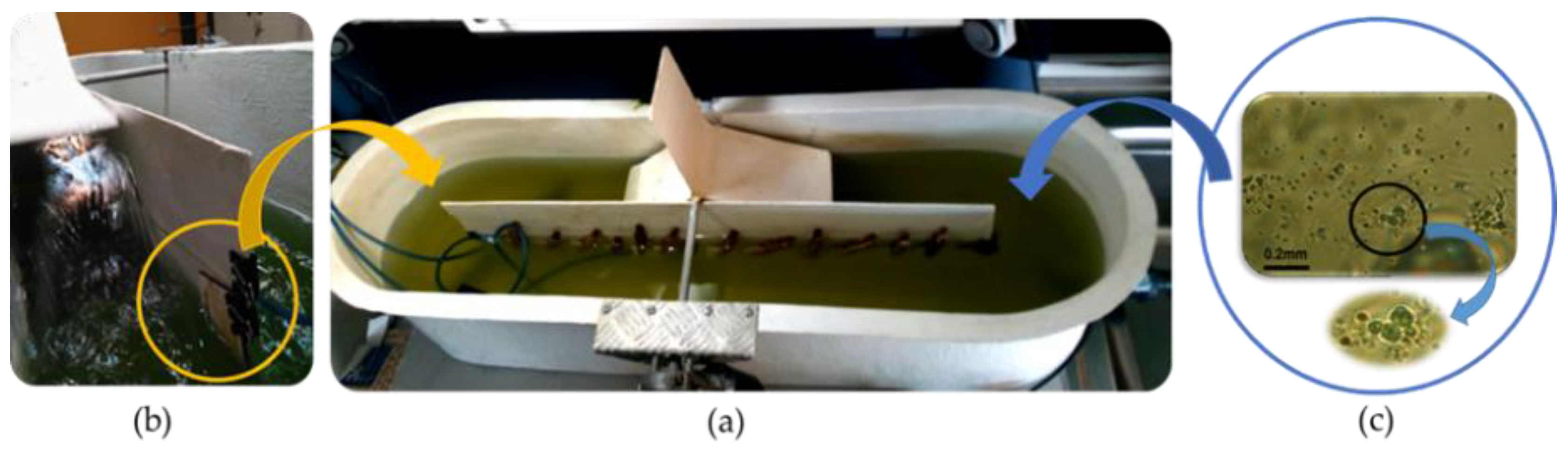 Applsci 10 05864 g002 Applsci 10 05864 g002