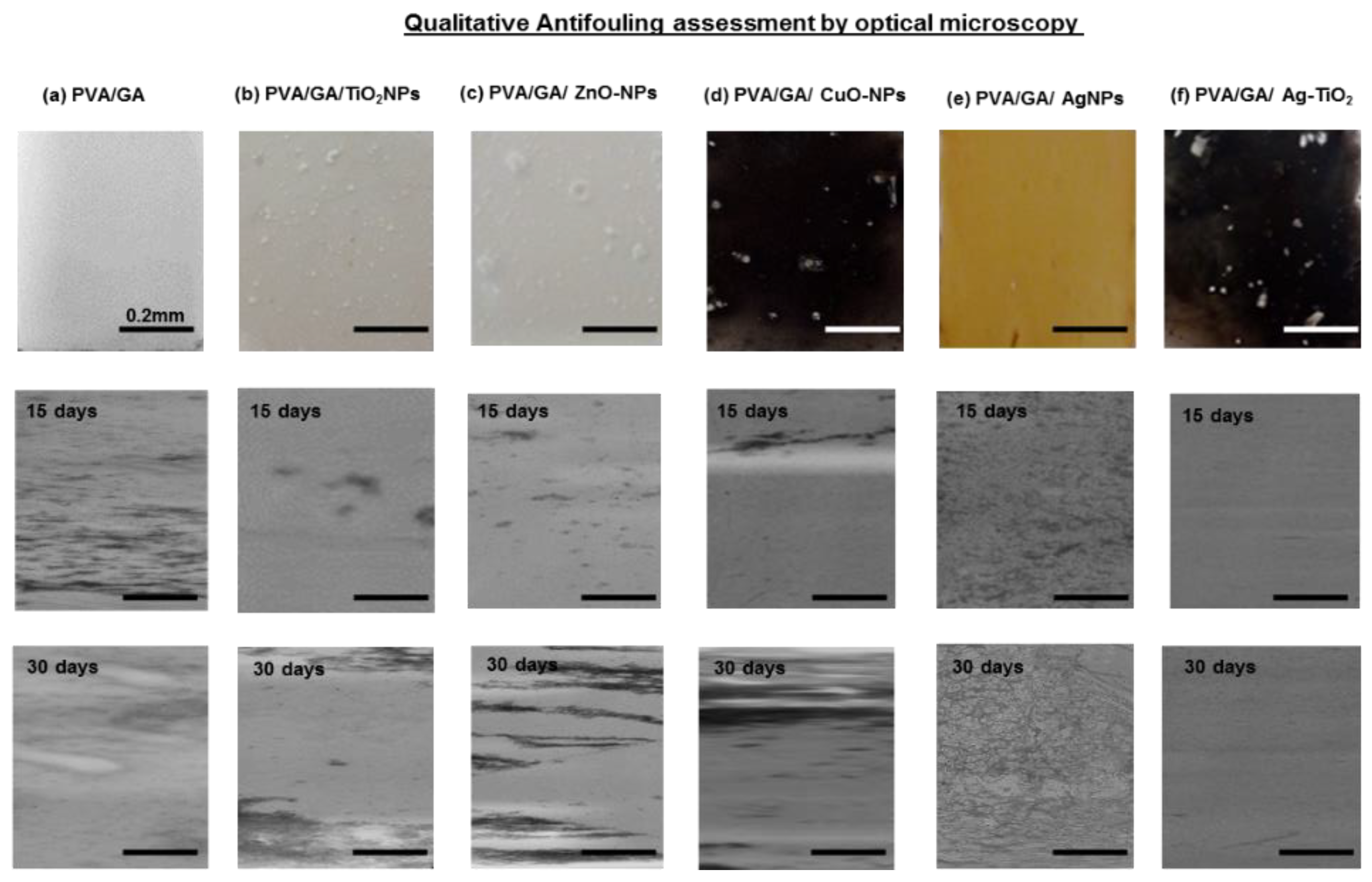 Applsci 10 05864 g008 Applsci 10 05864 g008