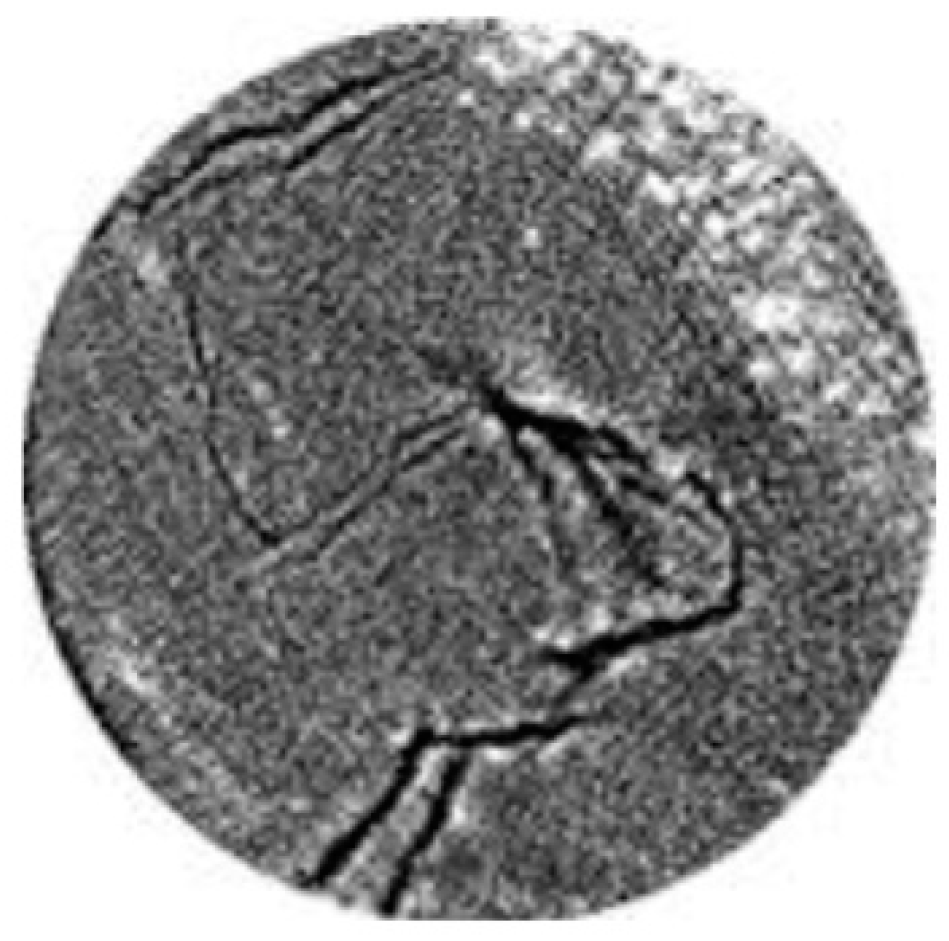 Applsci 10 05868 g001